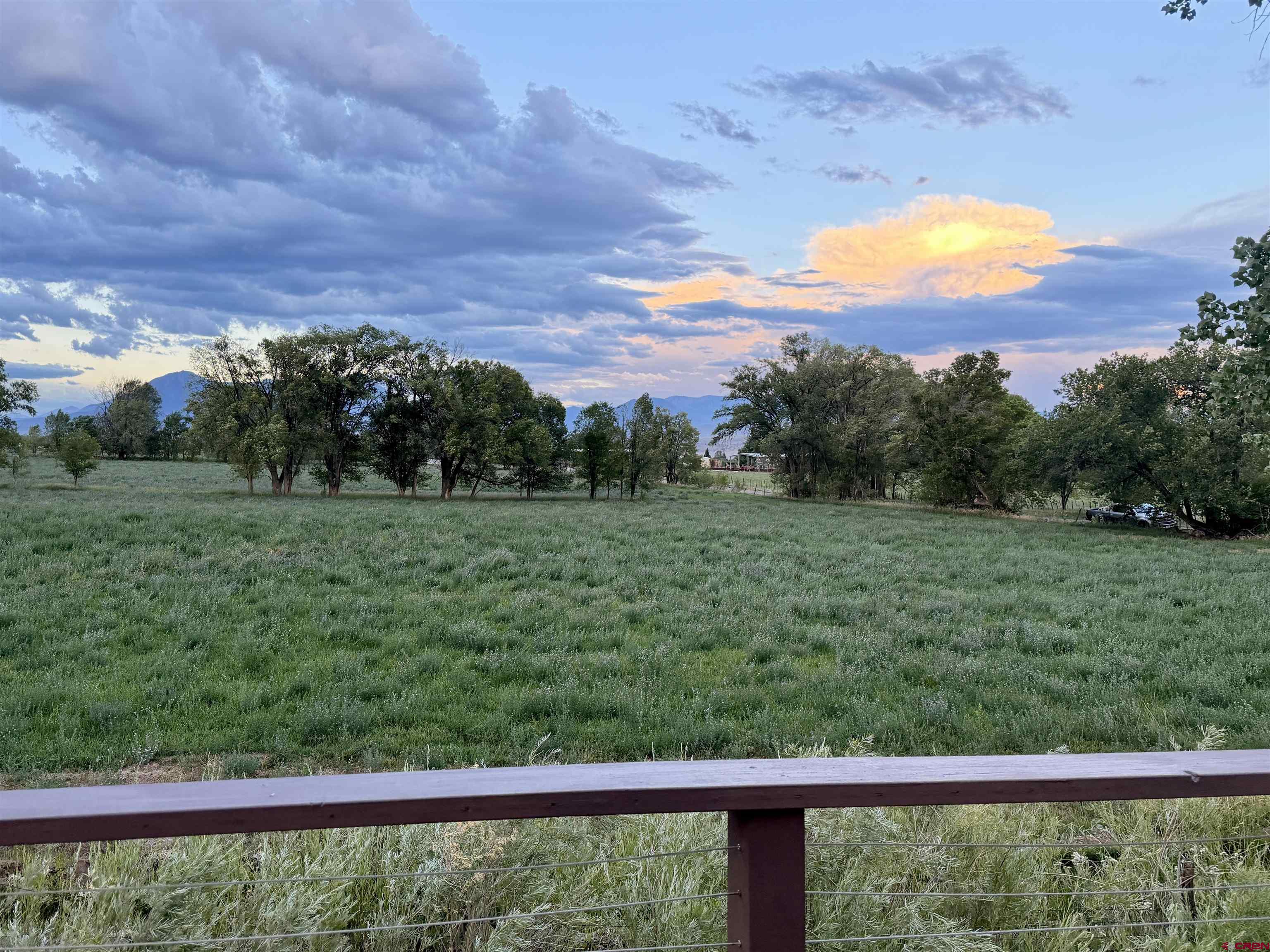 31061 J Road Hotchkiss, CO 81419 - Photo 11 of 43 Gallery Image 11
