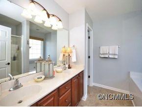 306 Lumber River Road Fletcher, NC 28732 - Photo 8 of 15 a bathroom with a sink vanity and a mirror