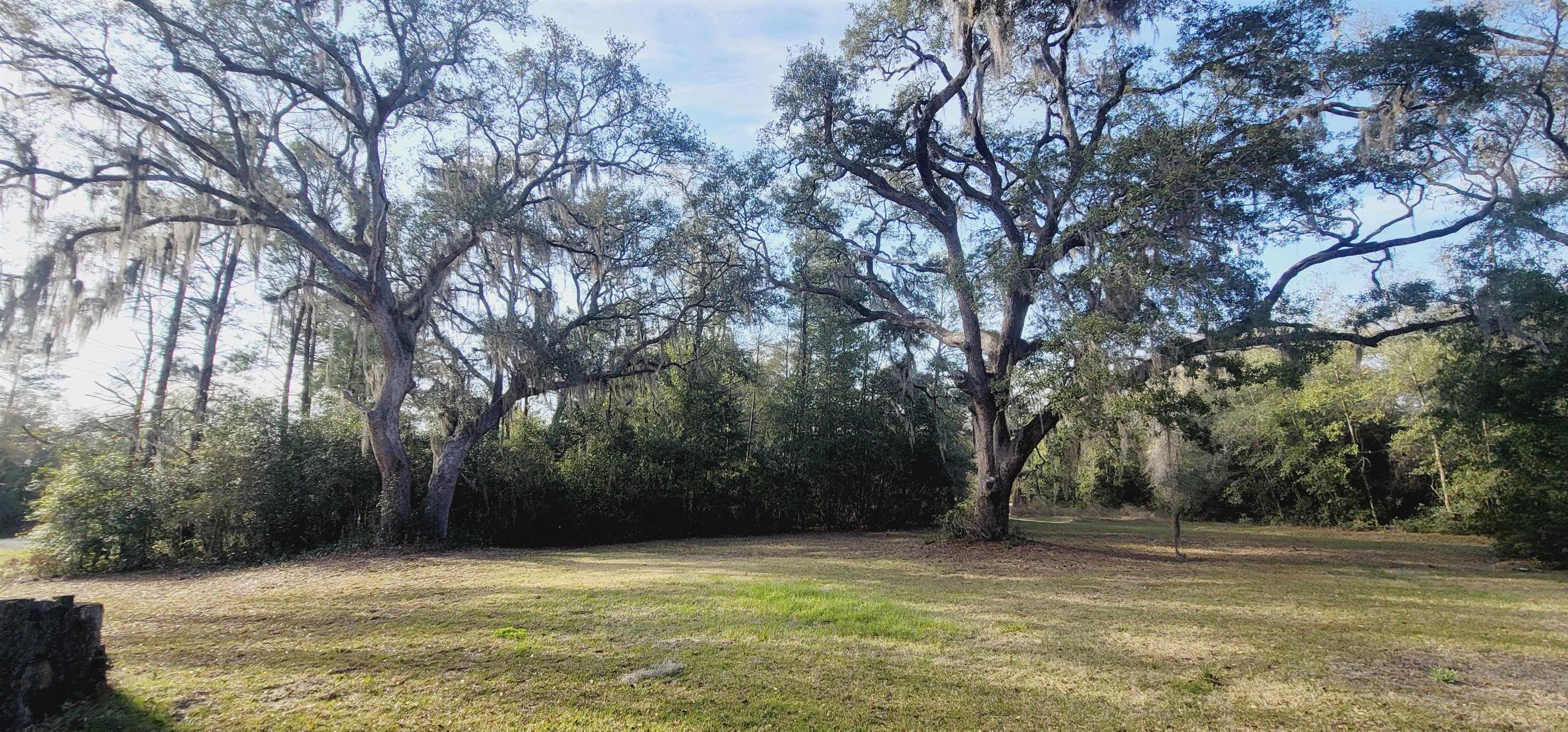 11 Trails End Road Quincy, FL 32351 - Photo 12 of 27