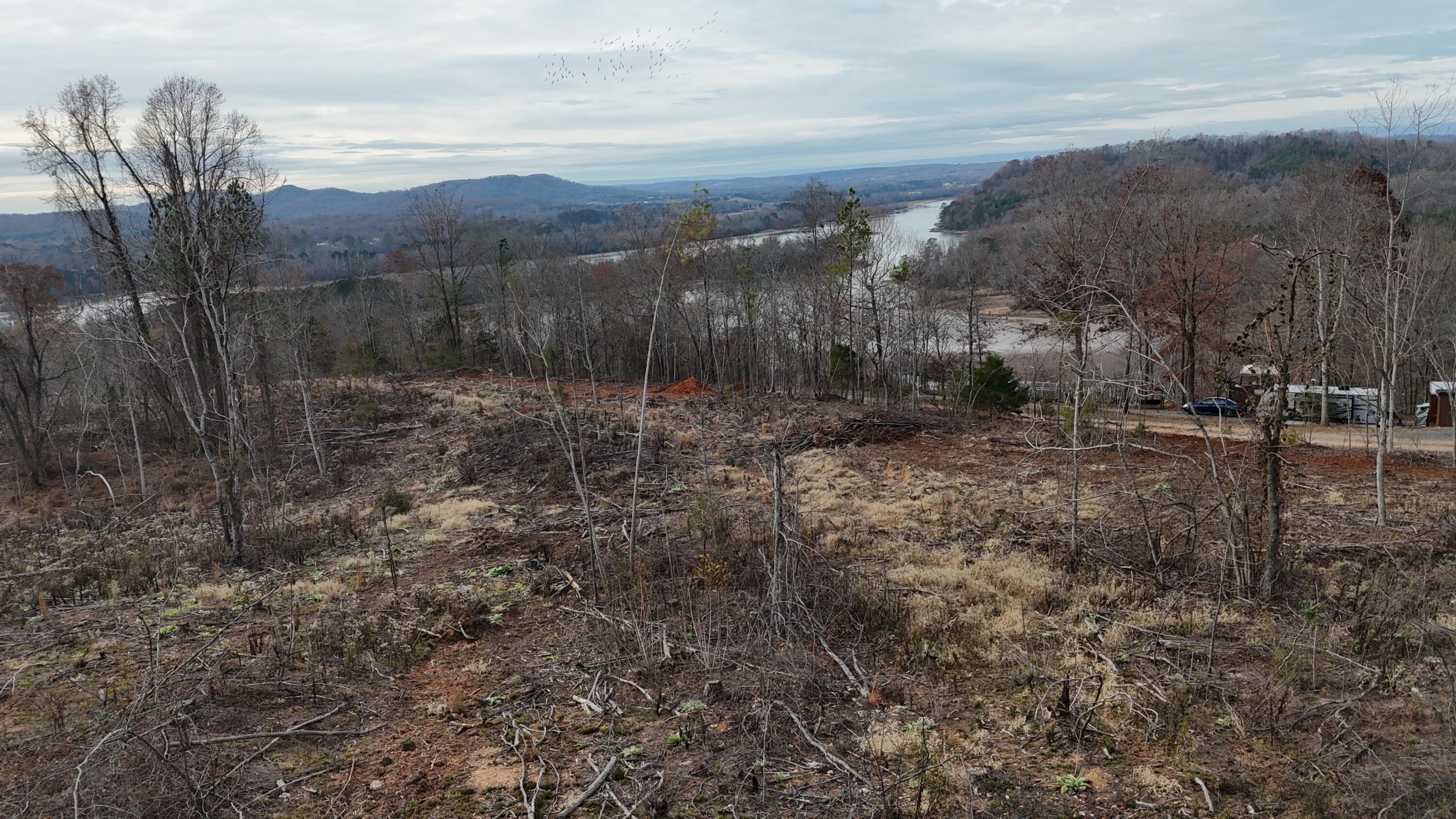 Lot 1 Lamontville Road Decatur, TN 37322 - Photo 12 of 47 dji_fly_20241208_131052_0183_17337675788