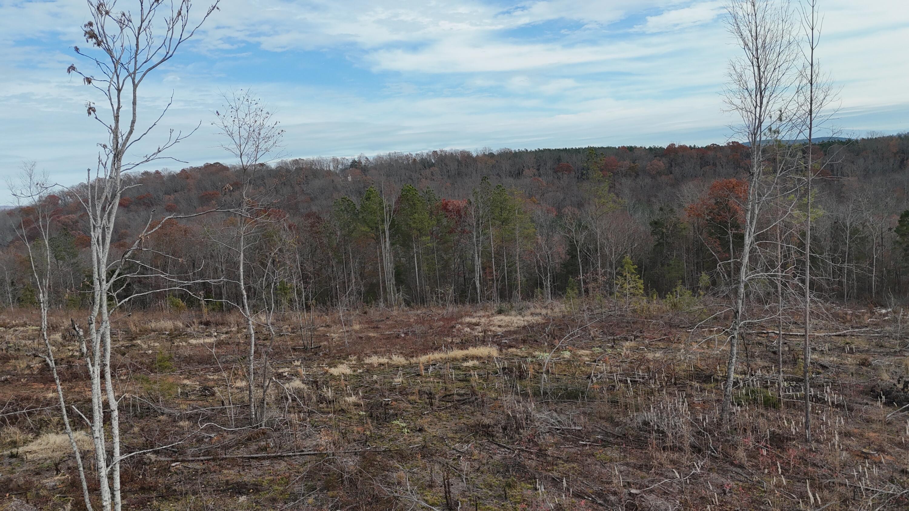 Lot 1 Lamontville Road Decatur, TN 37322 - Photo 14 of 47 dji_fly_20241208_131108_0185_17337675727