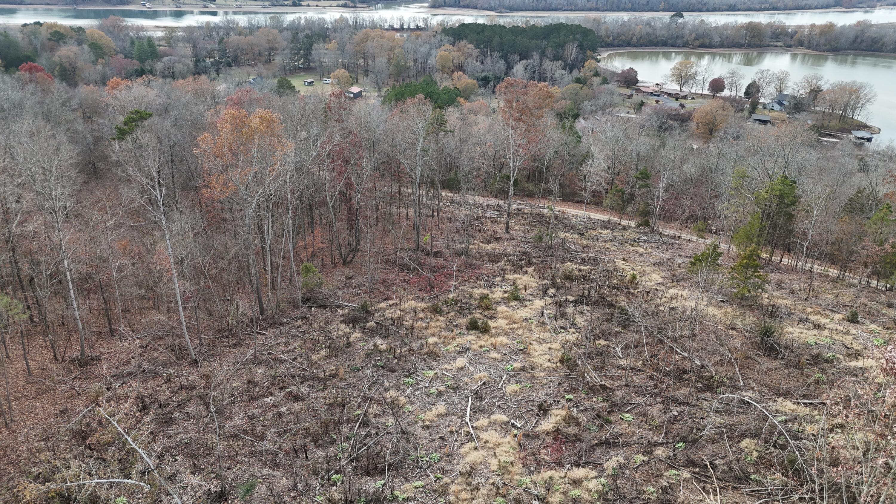 Lot 1 Lamontville Road Decatur, TN 37322 - Photo 17 of 47 dji_fly_20241208_131154_0188_17337675685