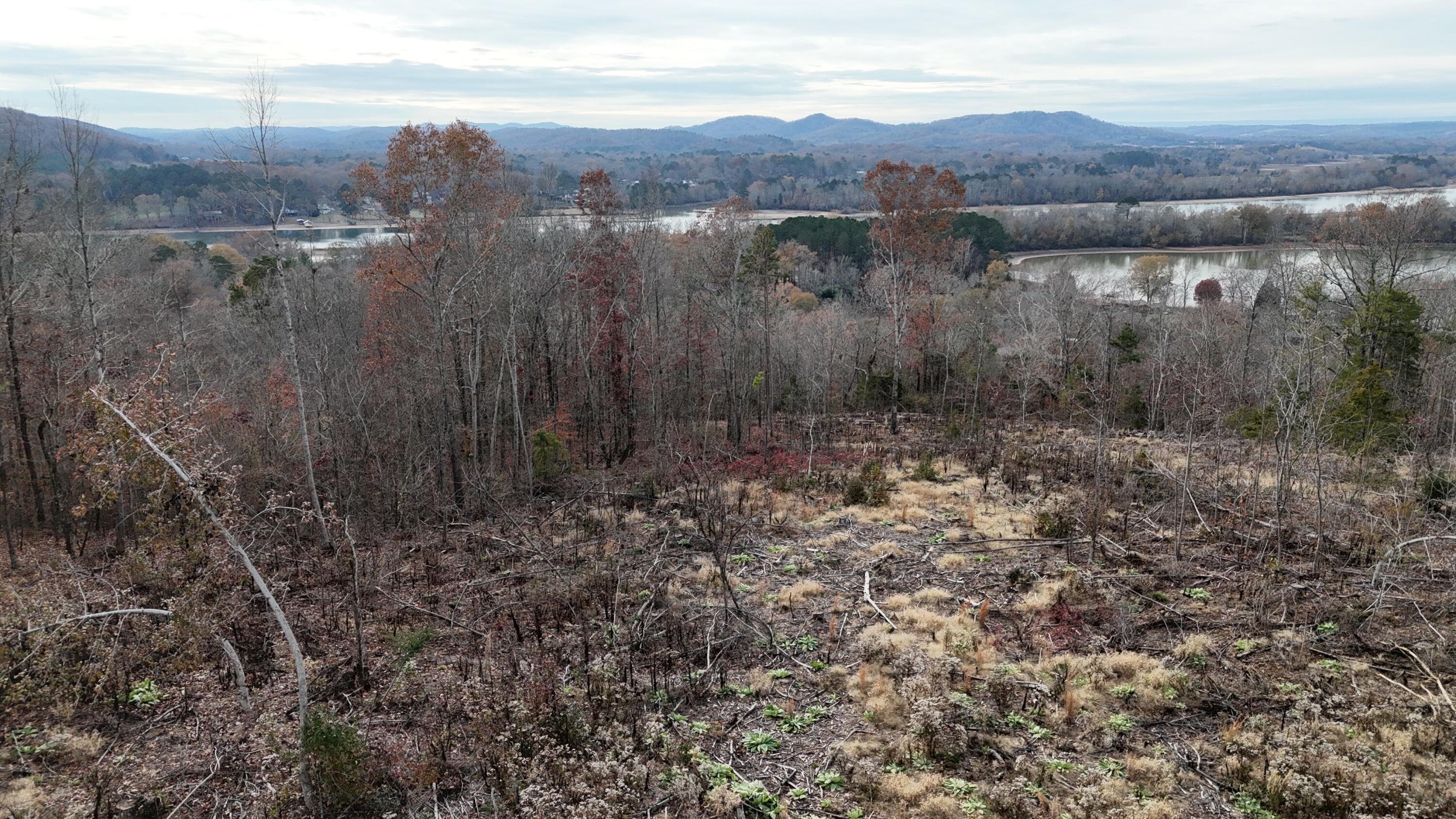 Lot 1 Lamontville Road Decatur, TN 37322 - Photo 18 of 47 dji_fly_20241208_131204_0189_17337675662