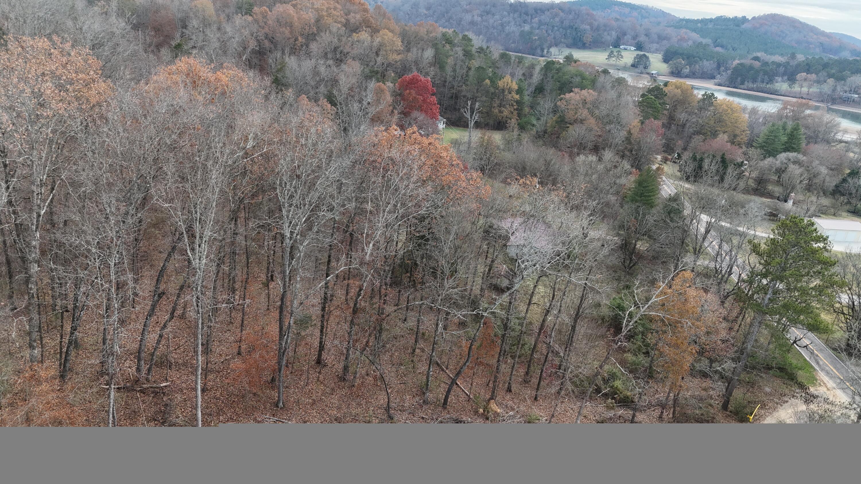 Lot 1 Lamontville Road Decatur, TN 37322 - Photo 20 of 47 dji_fly_20241208_131246_0191_17337675611