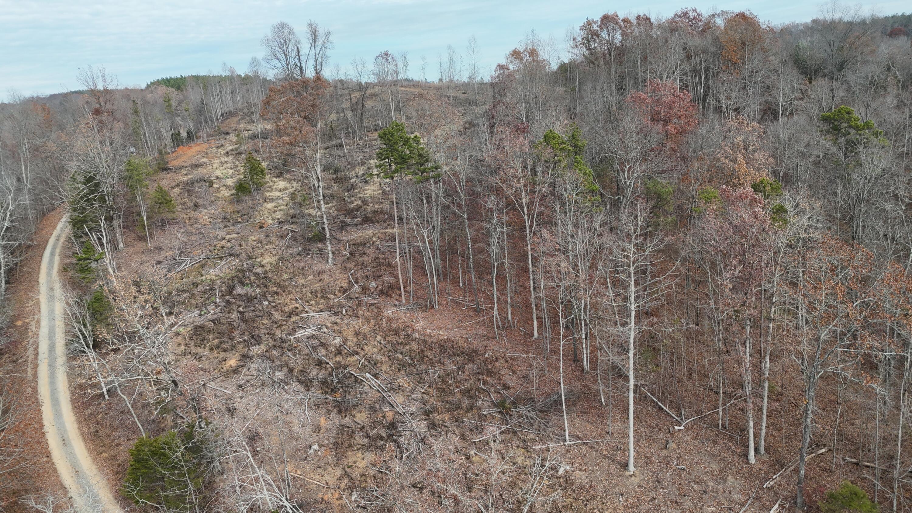 Lot 1 Lamontville Road Decatur, TN 37322 - Photo 23 of 47 dji_fly_20241208_131314_0196_17337675525