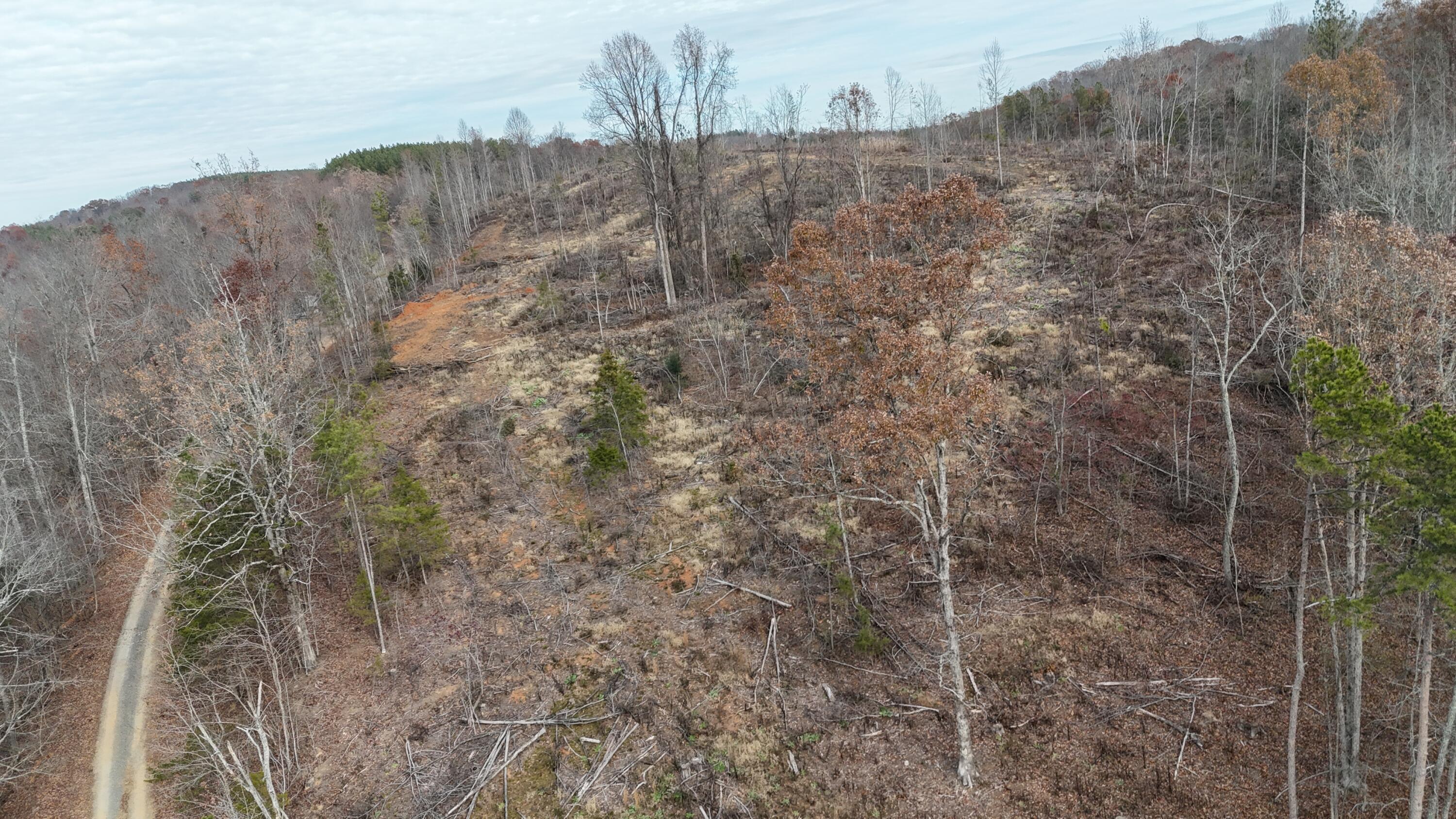 Lot 1 Lamontville Road Decatur, TN 37322 - Photo 24 of 47 dji_fly_20241208_131332_0197_17337675476