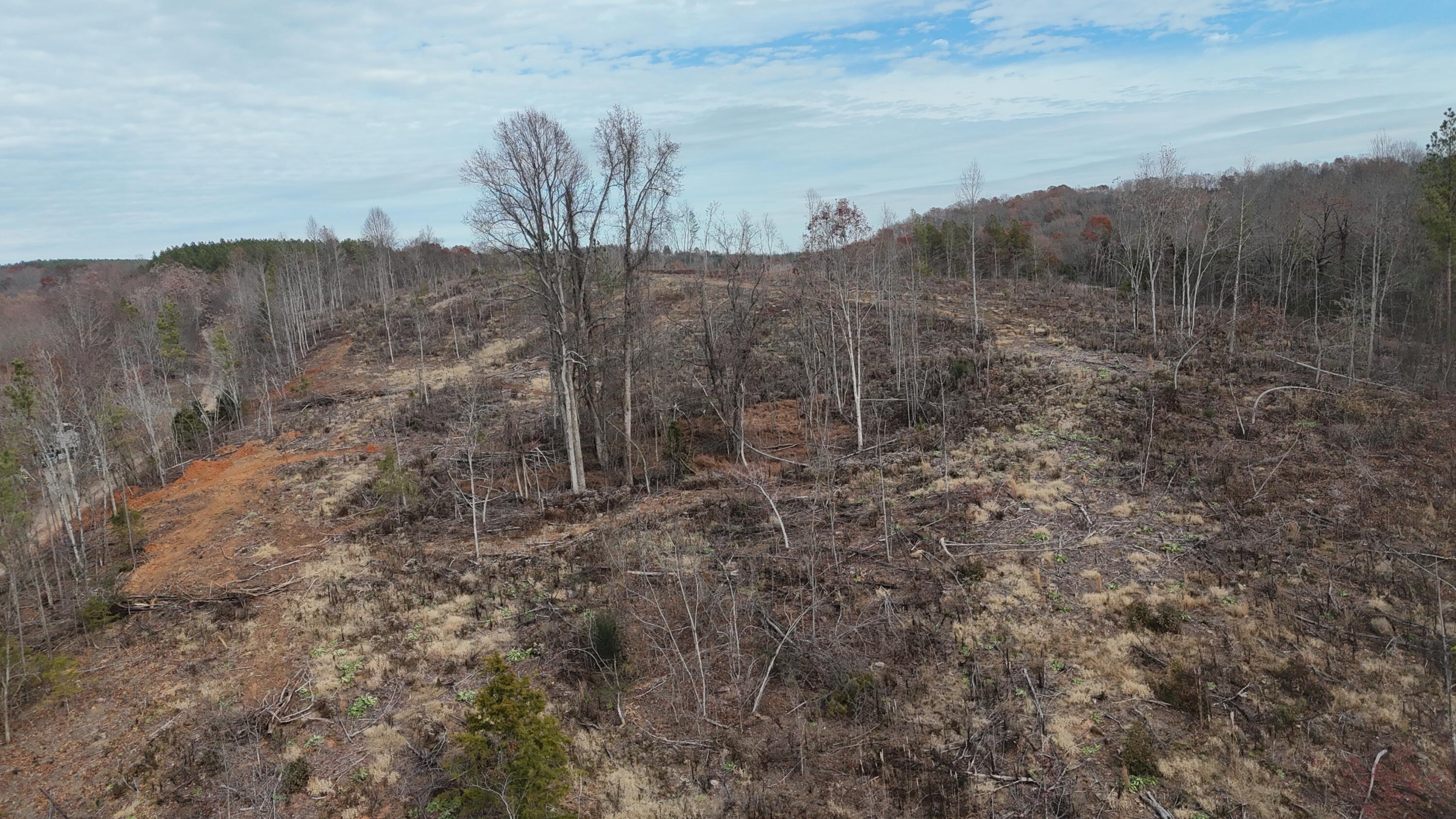 Lot 1 Lamontville Road Decatur, TN 37322 - Photo 25 of 47 dji_fly_20241208_131340_0198_17337675432