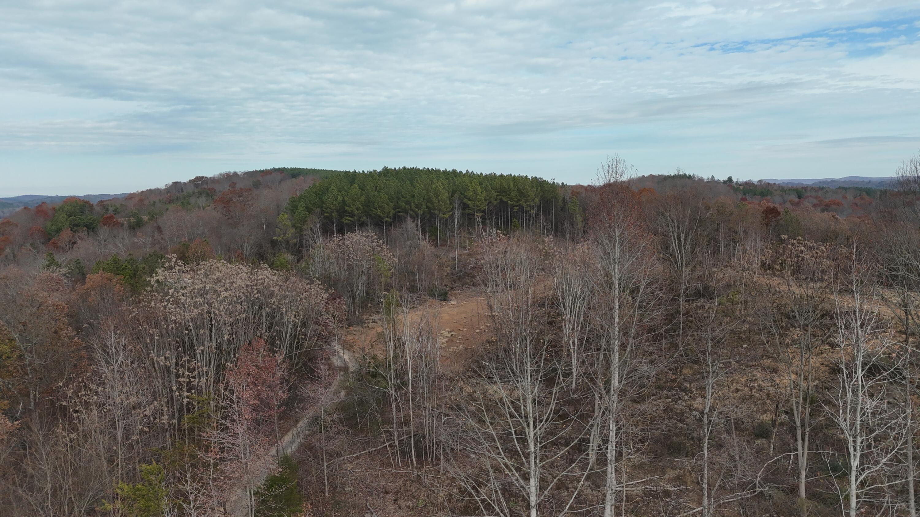 Lot 1 Lamontville Road Decatur, TN 37322 - Photo 28 of 47 dji_fly_20241208_131432_0201_17337675370