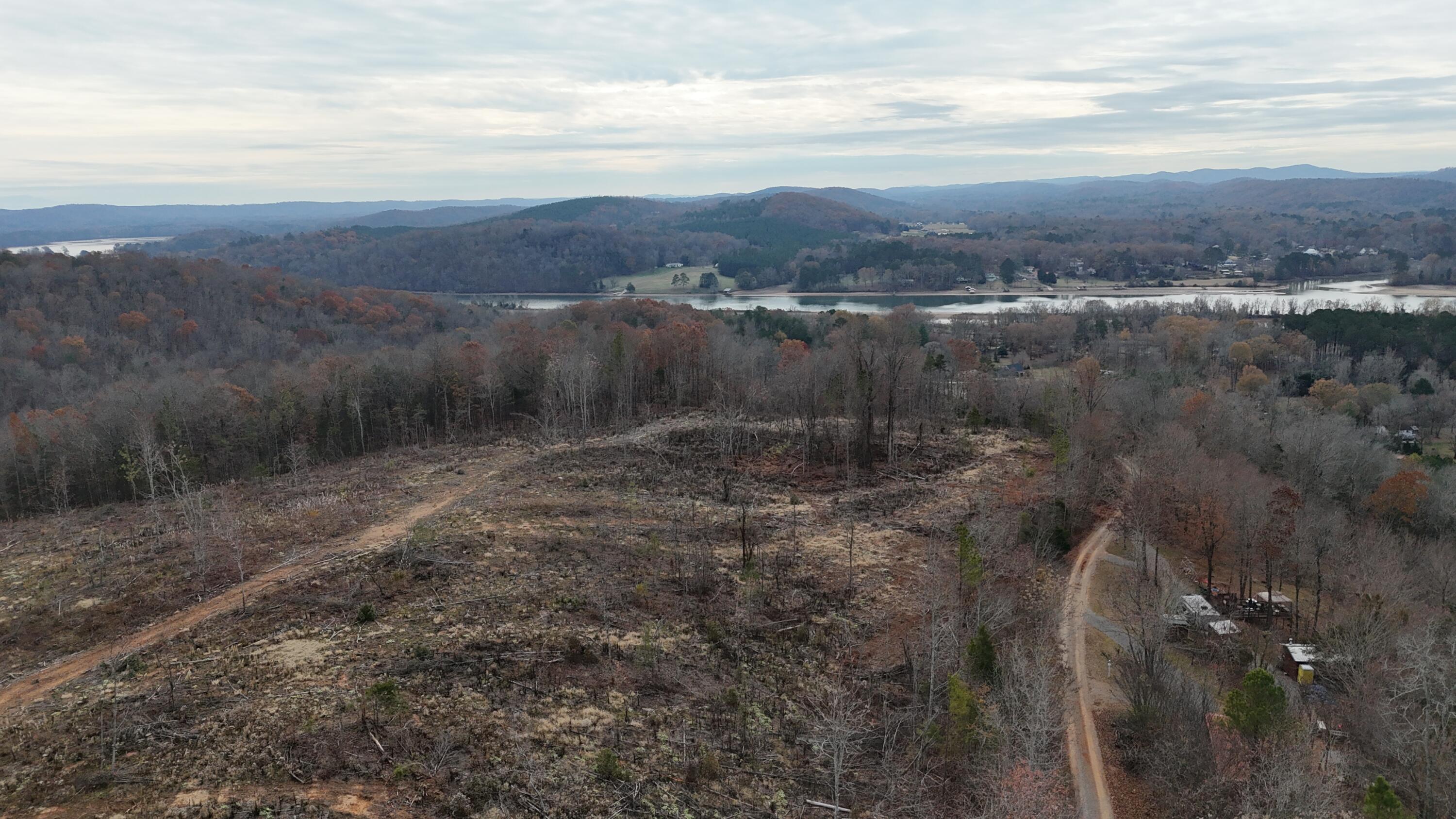 Lot 1 Lamontville Road Decatur, TN 37322 - Photo 29 of 47 dji_fly_20241208_131458_0202_17337675351