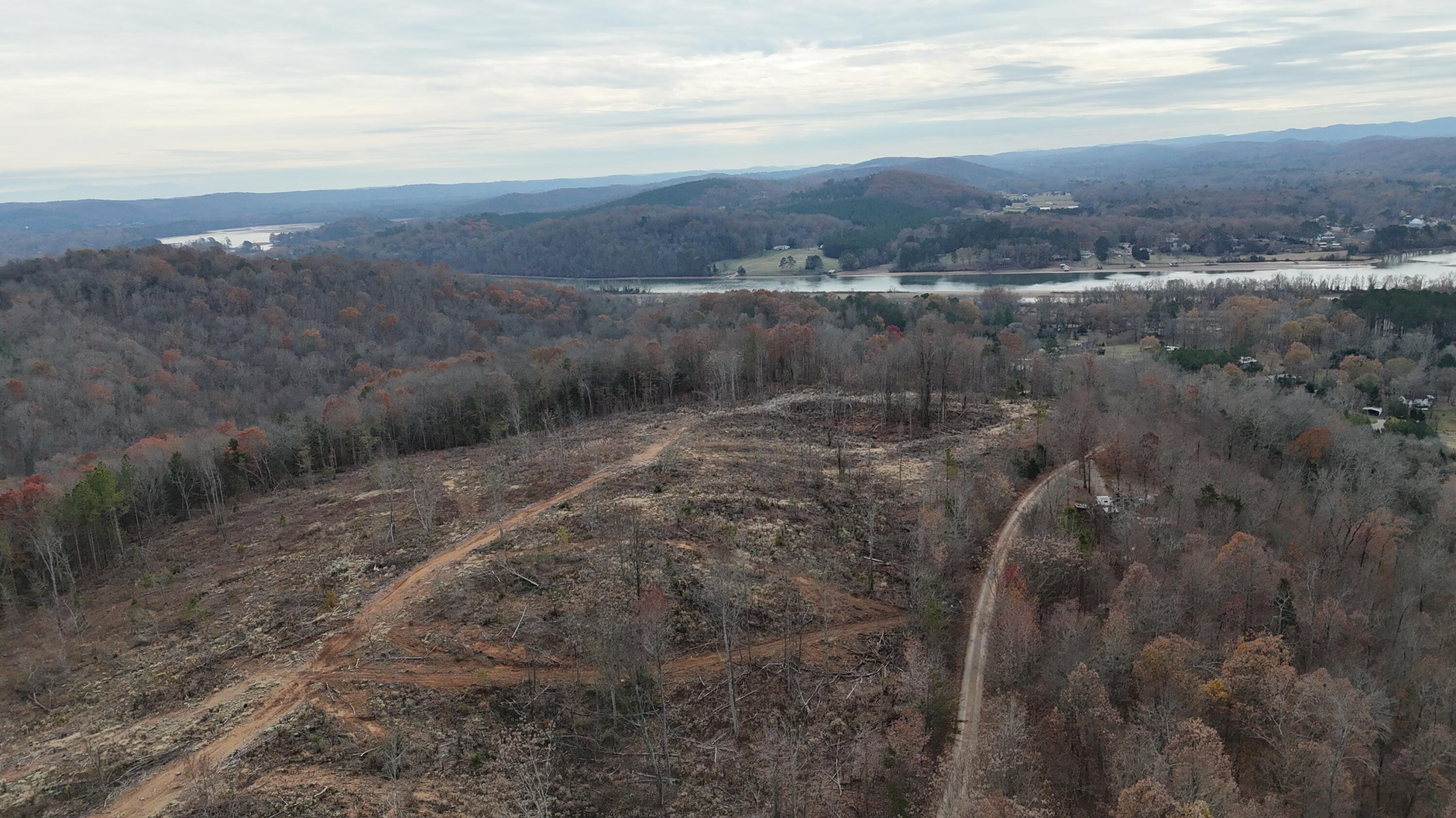 Lot 1 Lamontville Road Decatur, TN 37322 - Photo 30 of 47 dji_fly_20241208_131510_0203_17337675321