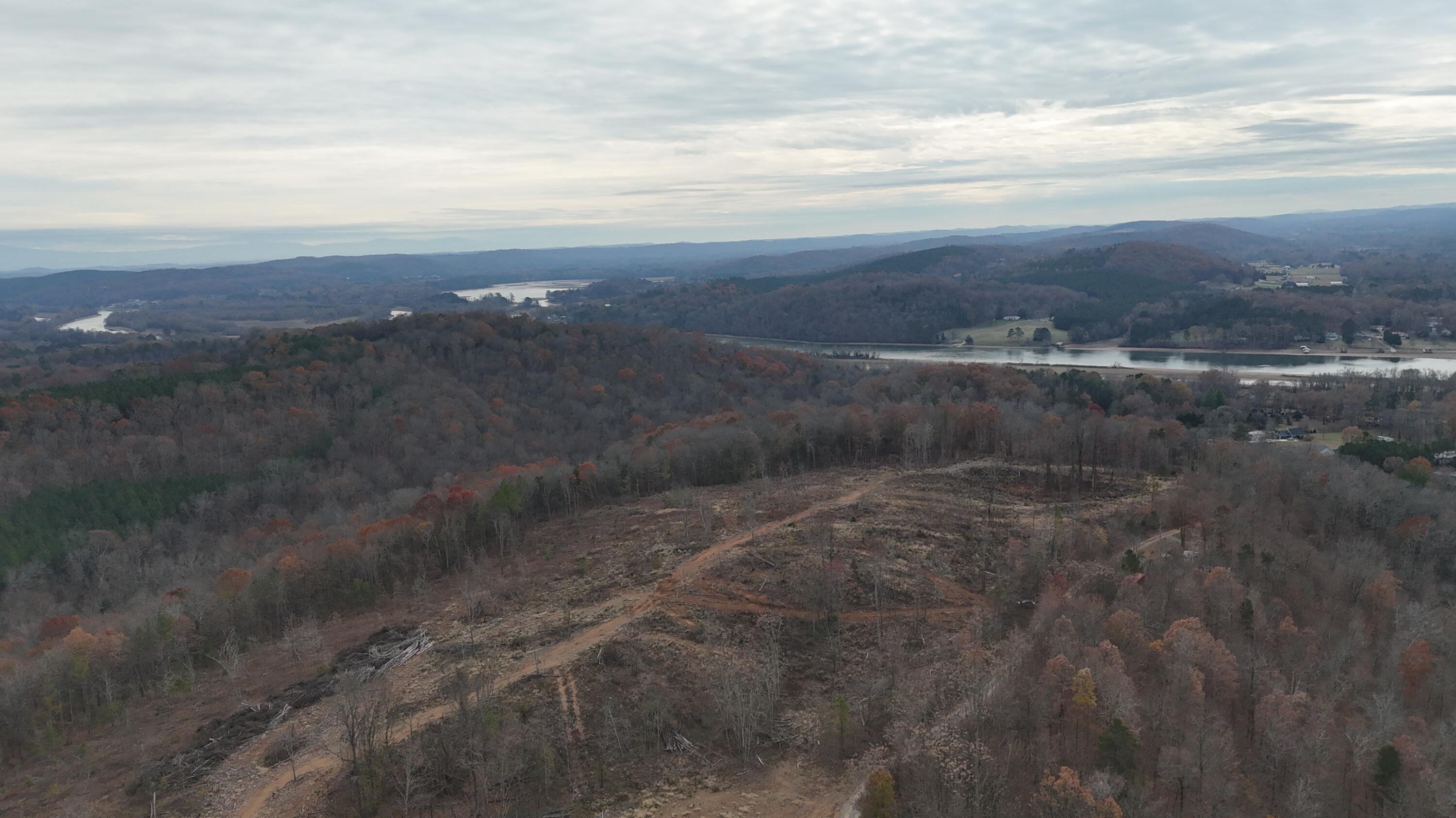 Lot 1 Lamontville Road Decatur, TN 37322 - Photo 31 of 47 dji_fly_20241208_131528_0204_17337675300