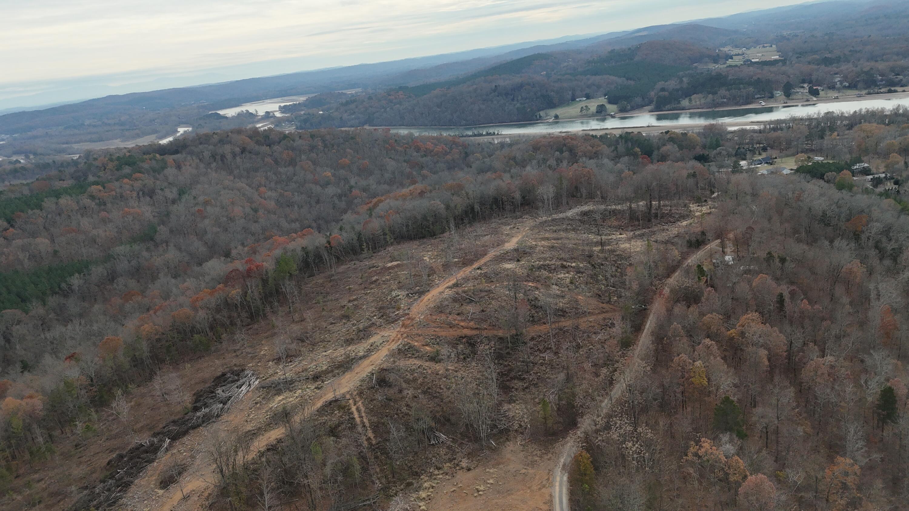 Lot 1 Lamontville Road Decatur, TN 37322 - Photo 34 of 47 dji_fly_20241208_131554_0207_17337675220