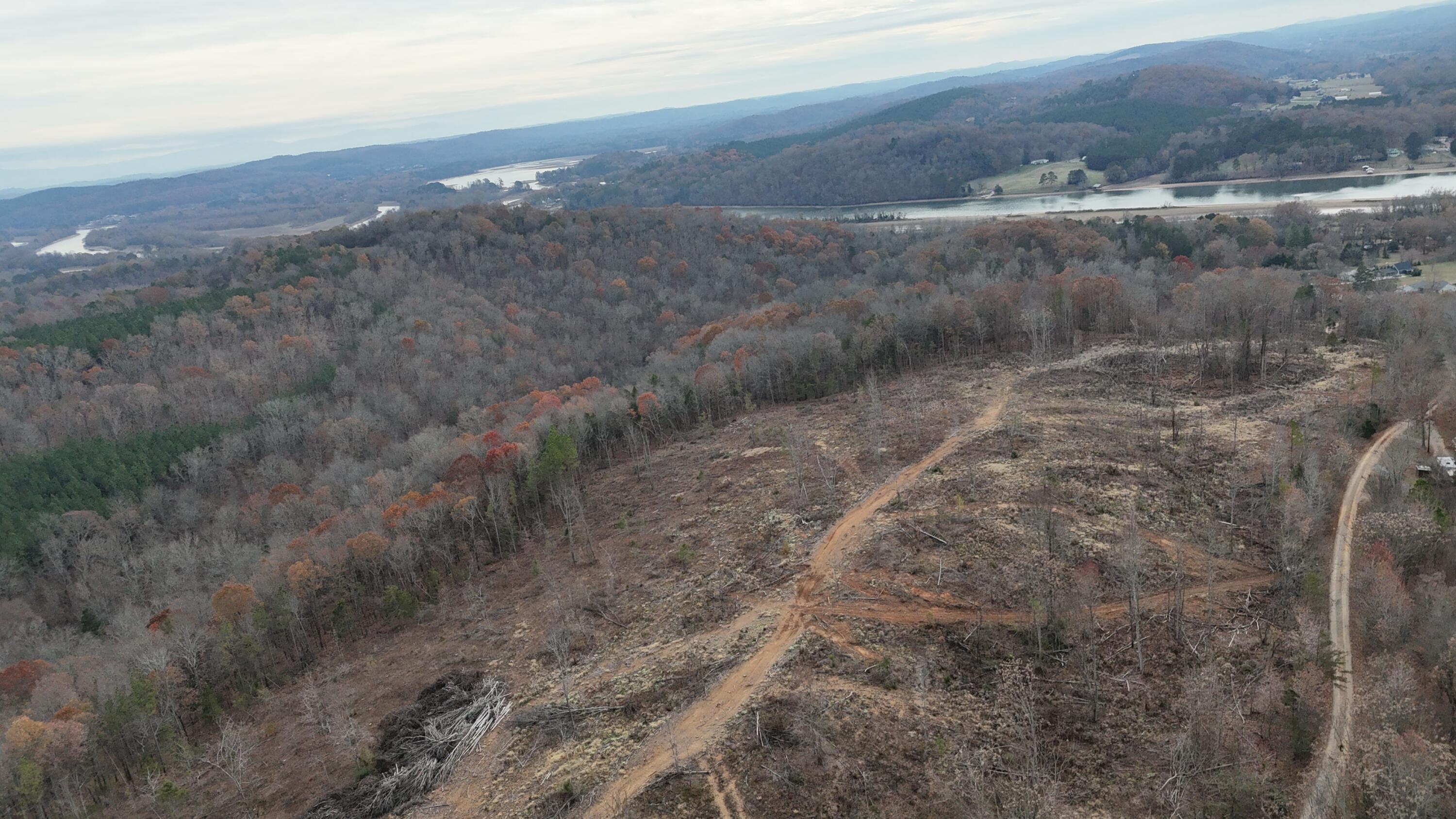 Lot 1 Lamontville Road Decatur, TN 37322 - Photo 35 of 47 dji_fly_20241208_131604_0208_17337675203