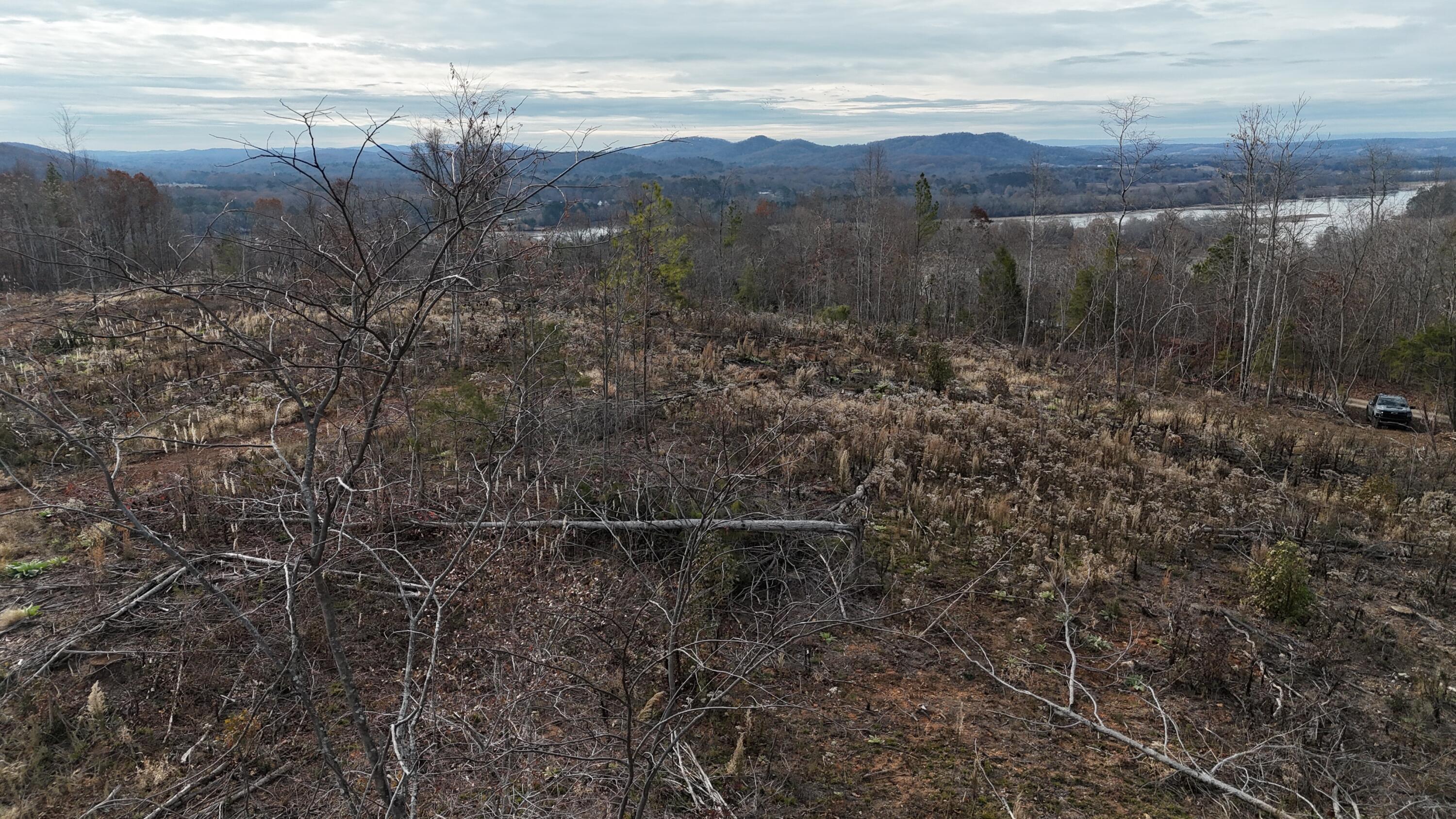 Lot 1 Lamontville Road Decatur, TN 37322 - Photo 4 of 47 dji_fly_20241208_130936_0175_17337676265