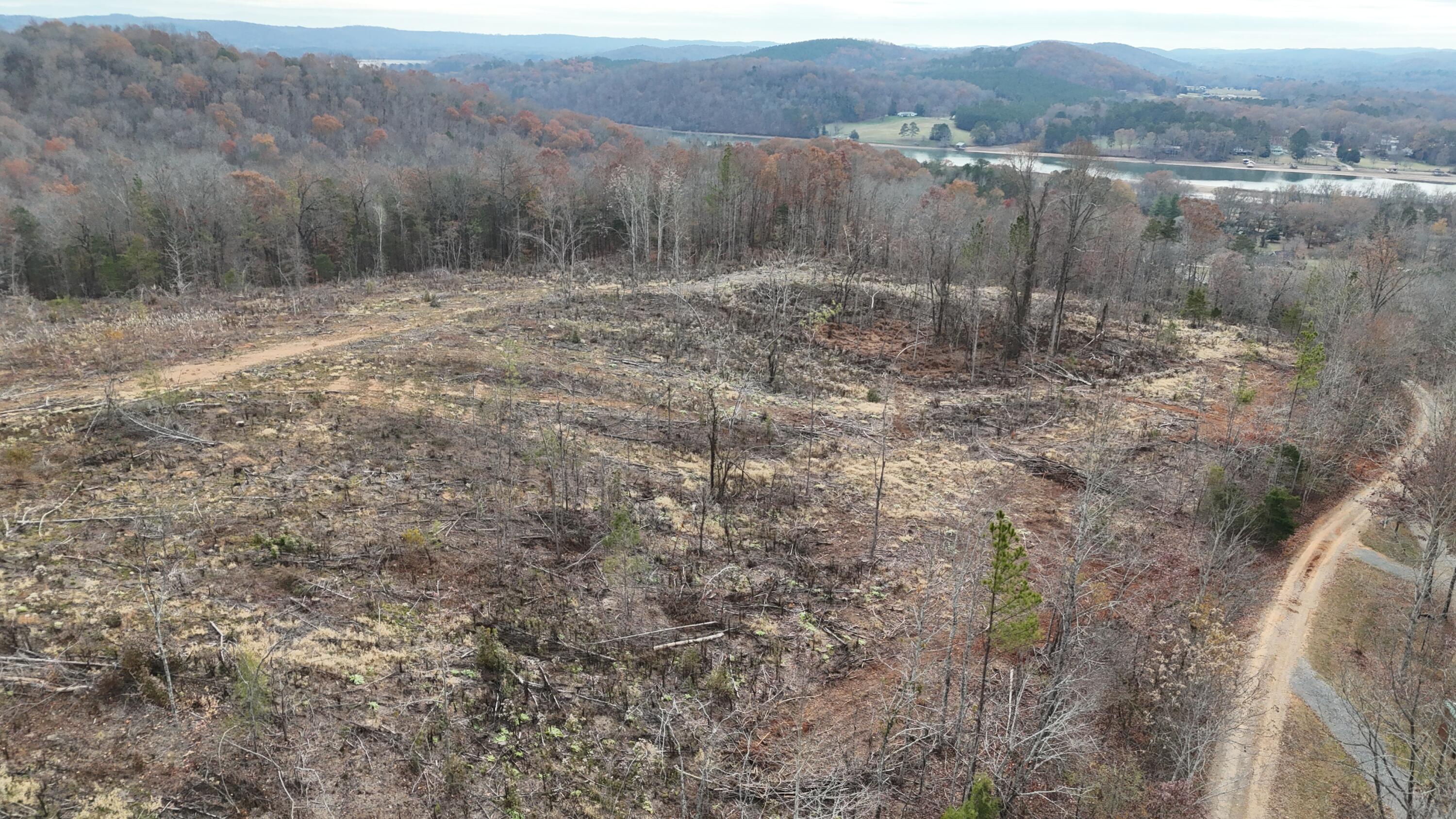 Lot 1 Lamontville Road Decatur, TN 37322 - Photo 42 of 47 dji_fly_20241208_131752_0215_17337675054
