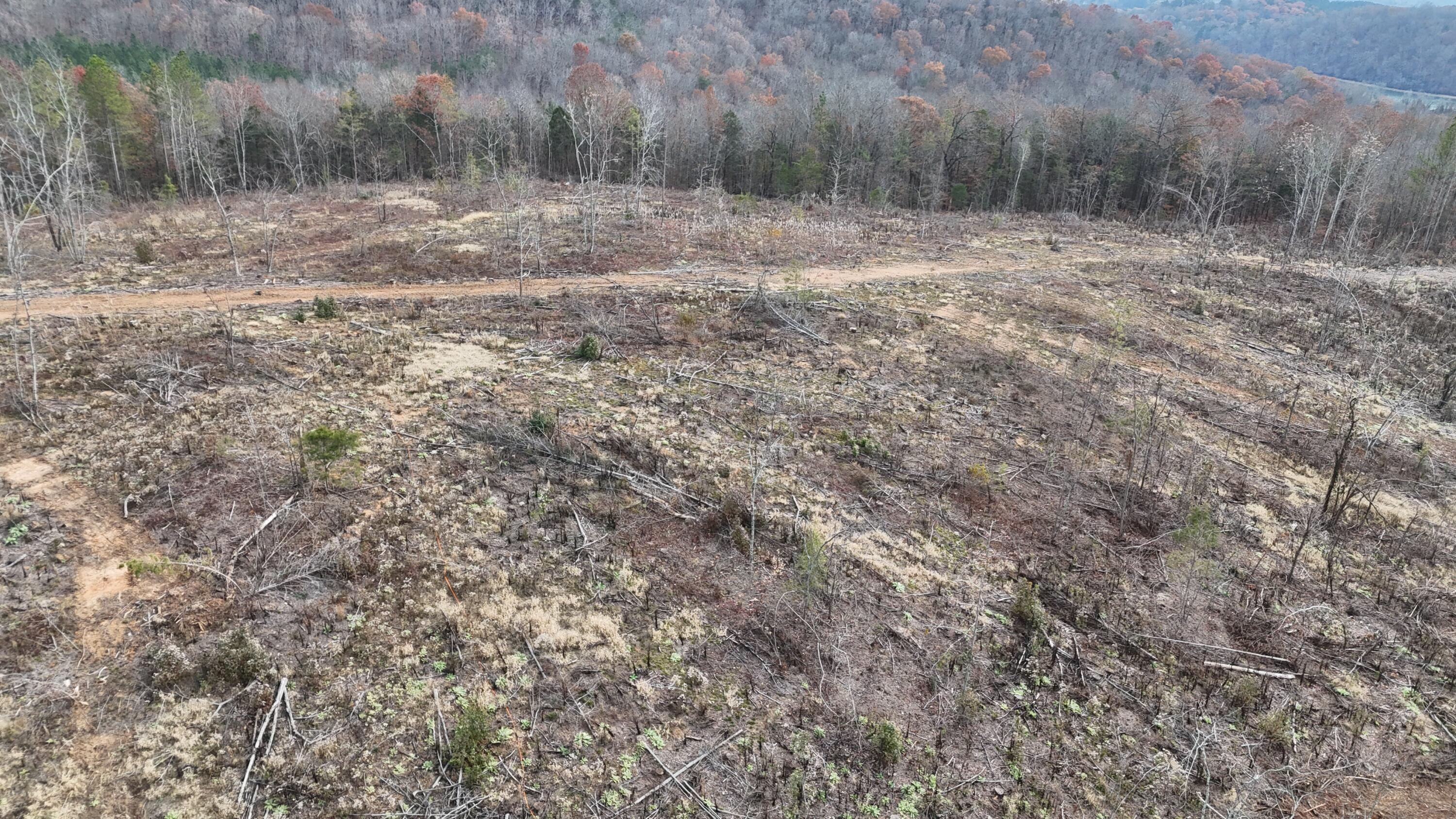 Lot 1 Lamontville Road Decatur, TN 37322 - Photo 44 of 47 dji_fly_20241208_131802_0217_17337674993