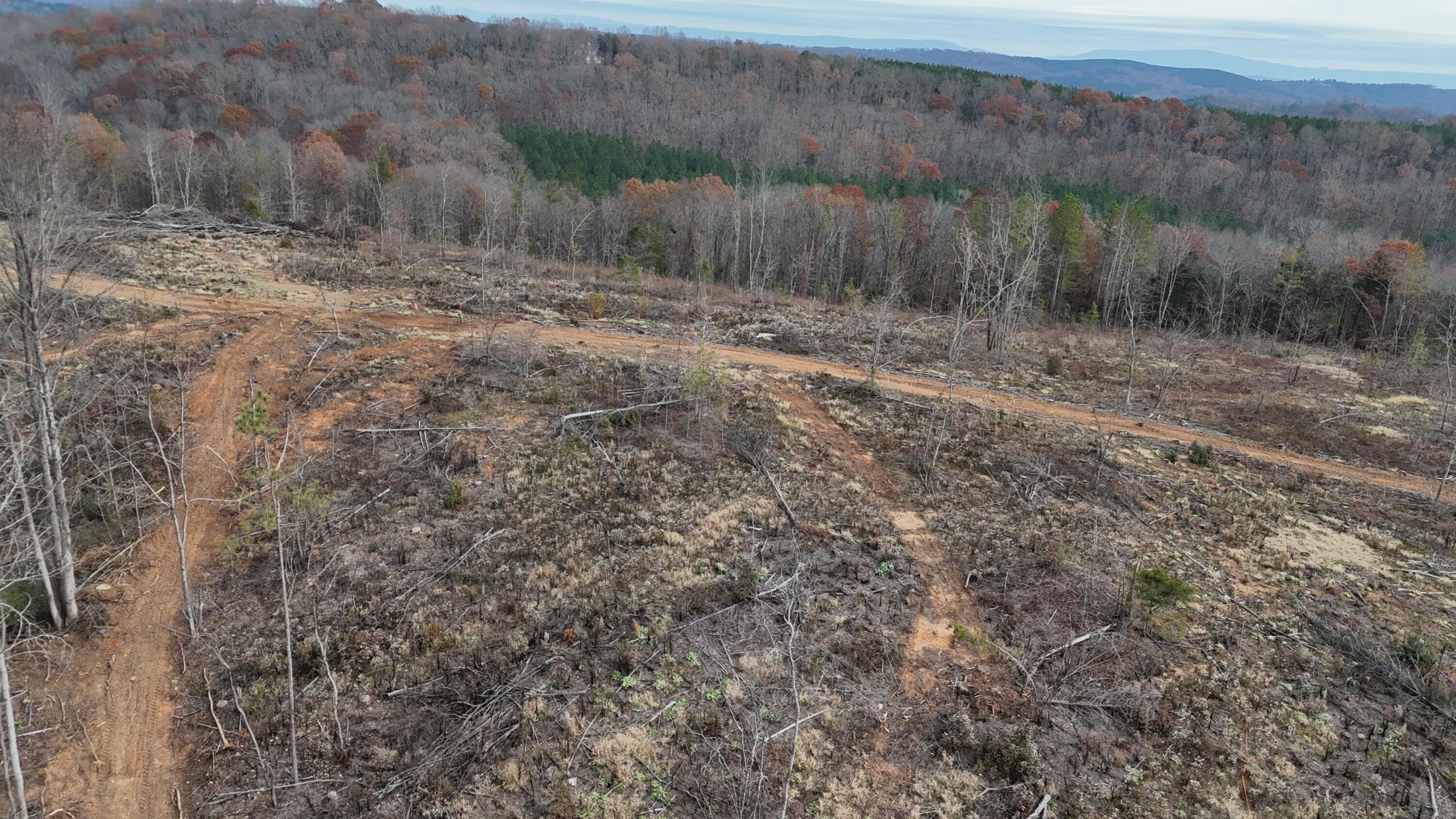 Lot 1 Lamontville Road Decatur, TN 37322 - Photo 45 of 47 dji_fly_20241208_131804_0218_17337674973