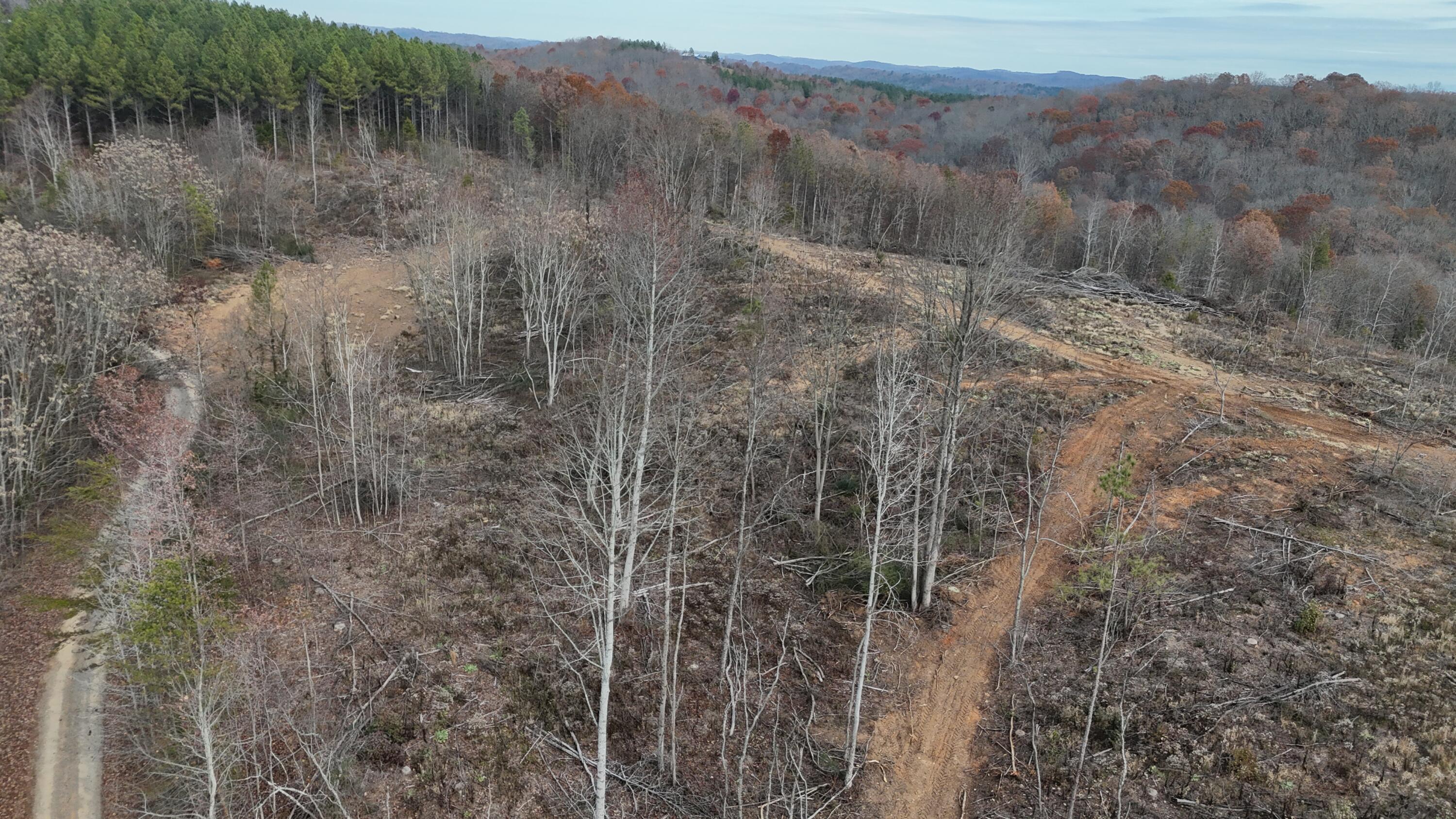 Lot 1 Lamontville Road Decatur, TN 37322 - Photo 46 of 47 dji_fly_20241208_131806_0219_17337674955