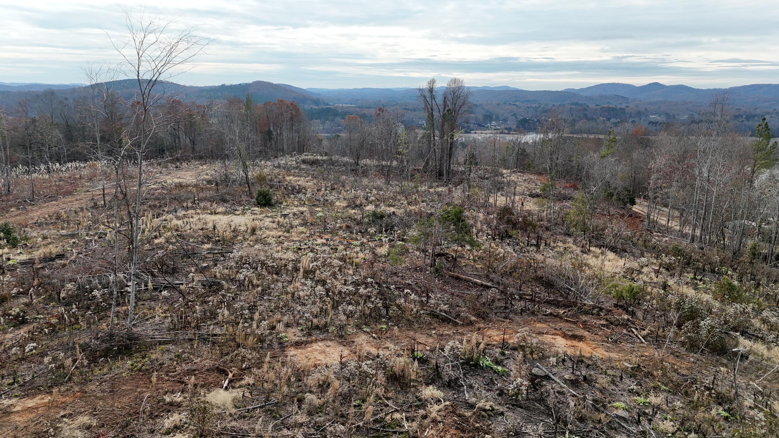 Lot 1 Lamontville Road Decatur, TN 37322 - Photo 6 of 47 dji_fly_20241208_130958_0177_17337676207