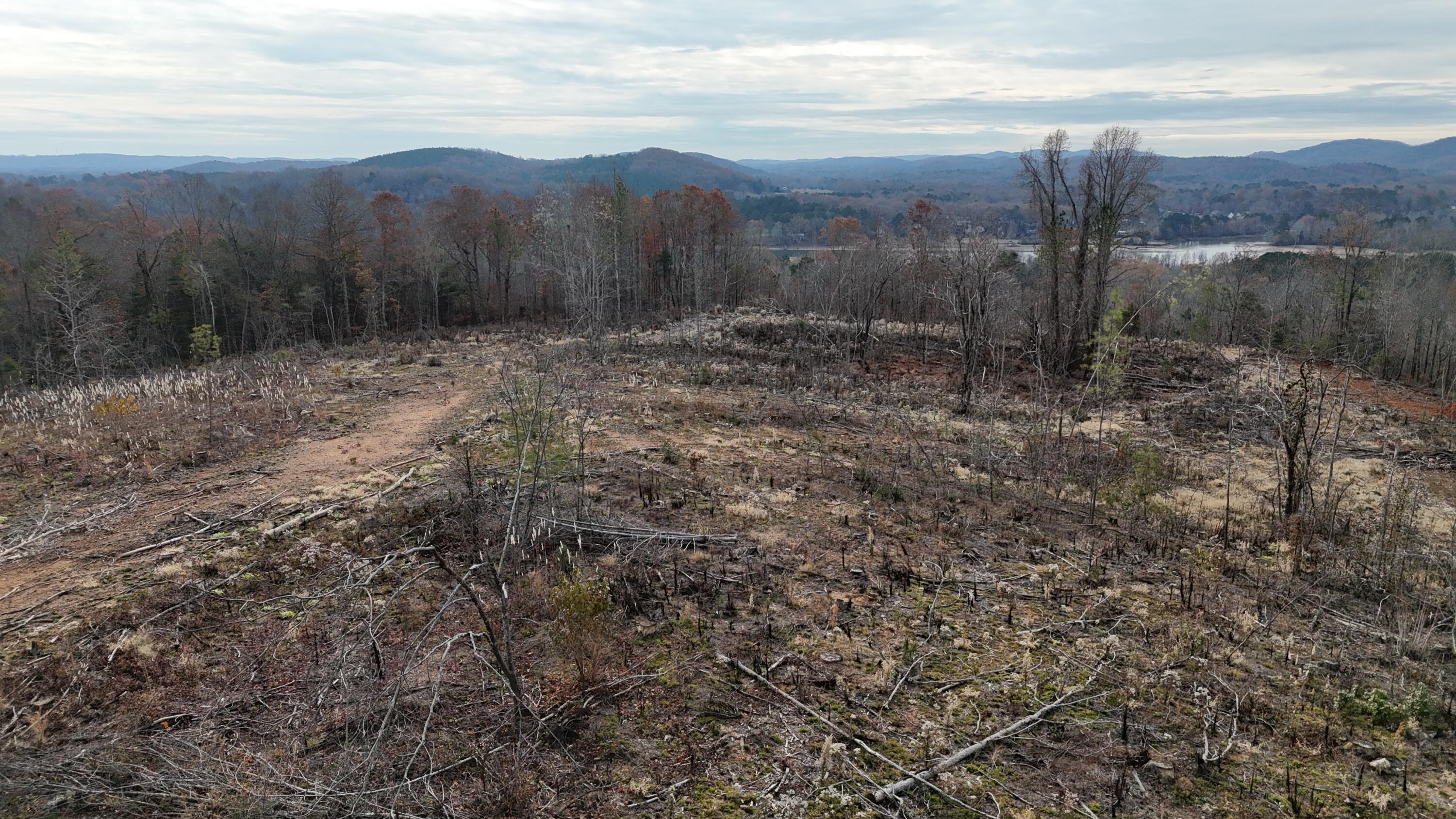 Lot 1 Lamontville Road Decatur, TN 37322 - Photo 7 of 47 dji_fly_20241208_131006_0178_17337676200