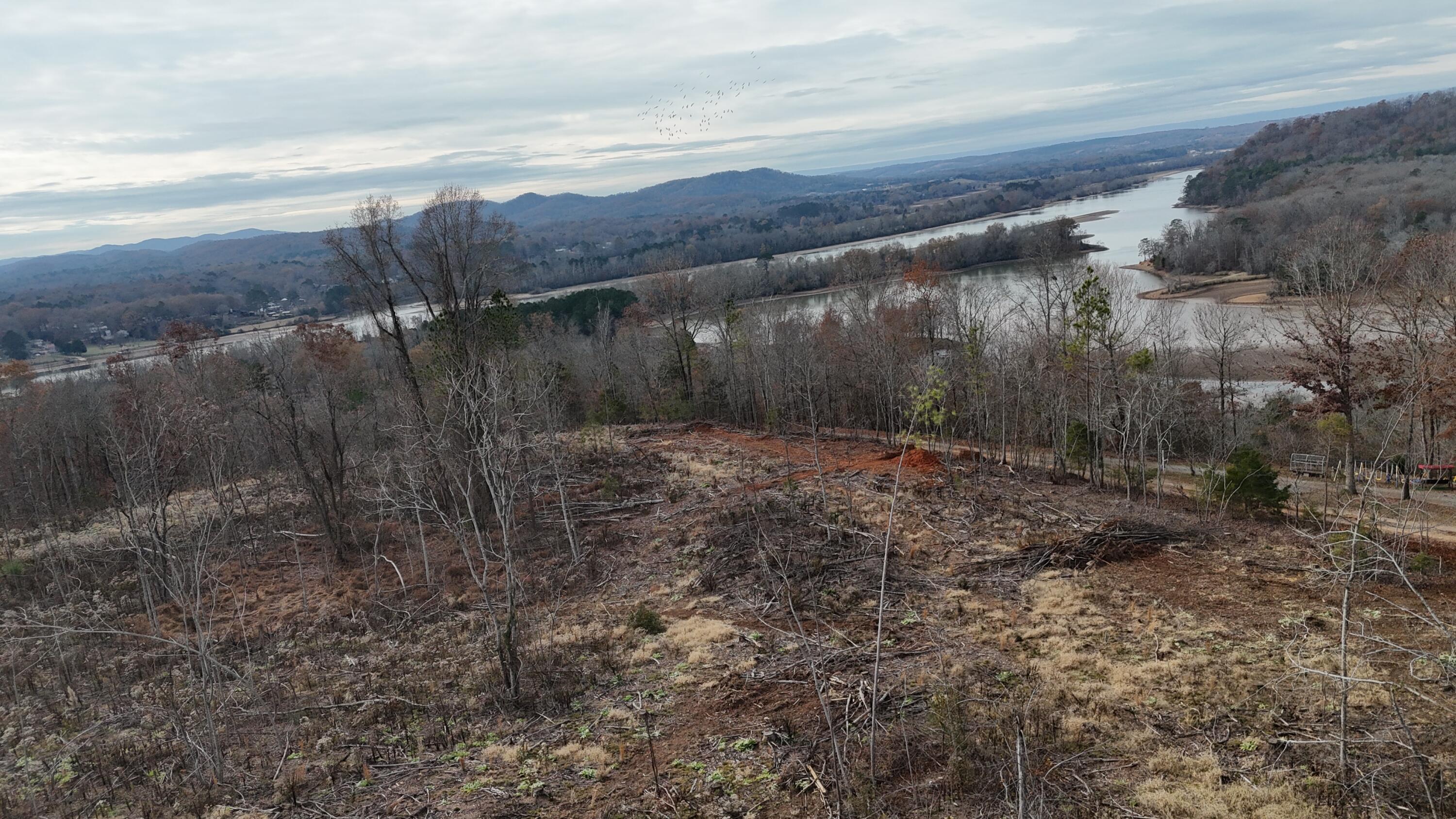Lot 1 Lamontville Road Decatur, TN 37322 - Photo 8 of 47 dji_fly_20241208_131024_0179_17337676180