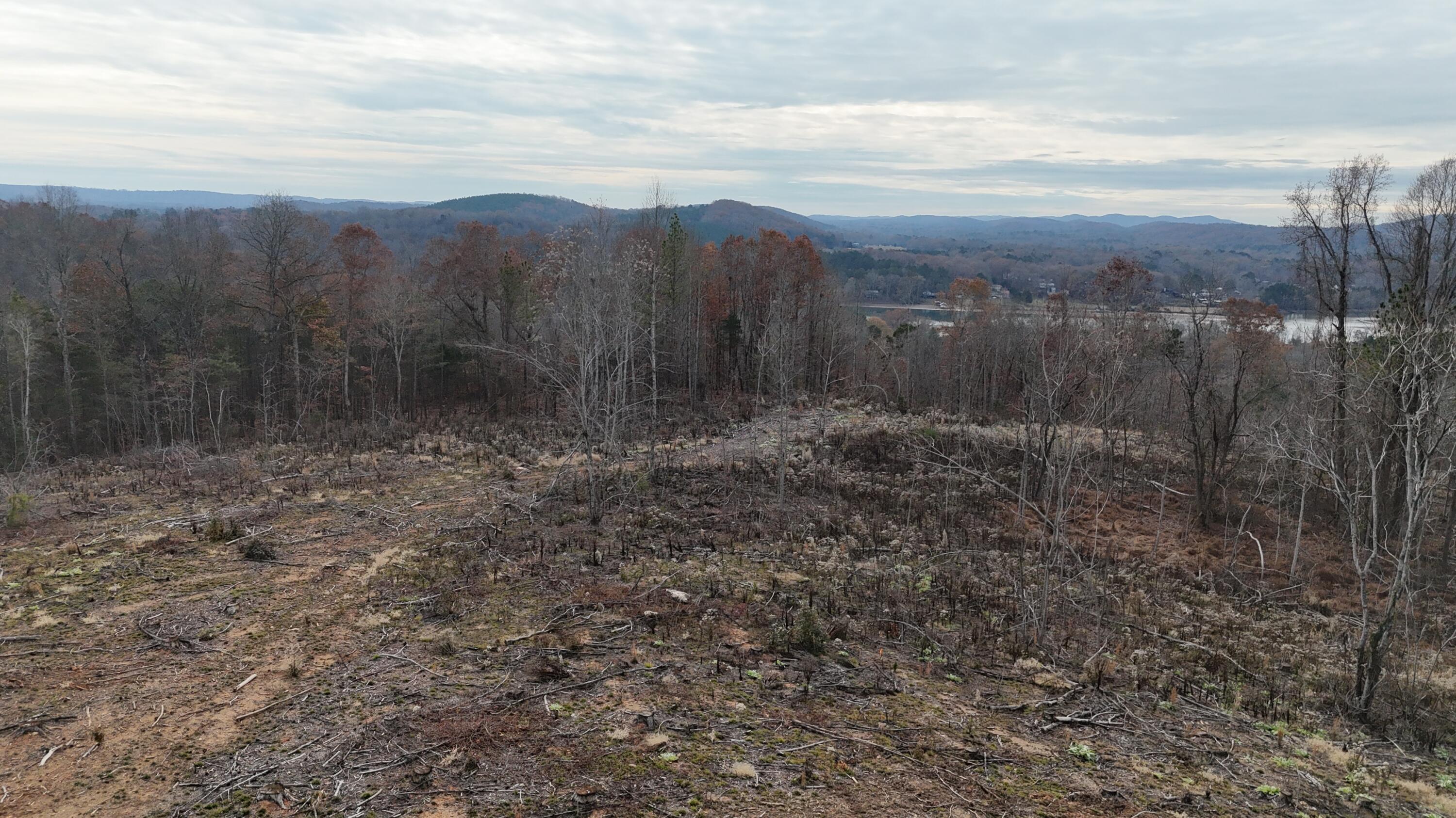 Lot 1 Lamontville Road Decatur, TN 37322 - Photo 9 of 47 dji_fly_20241208_131030_0180_17337676167