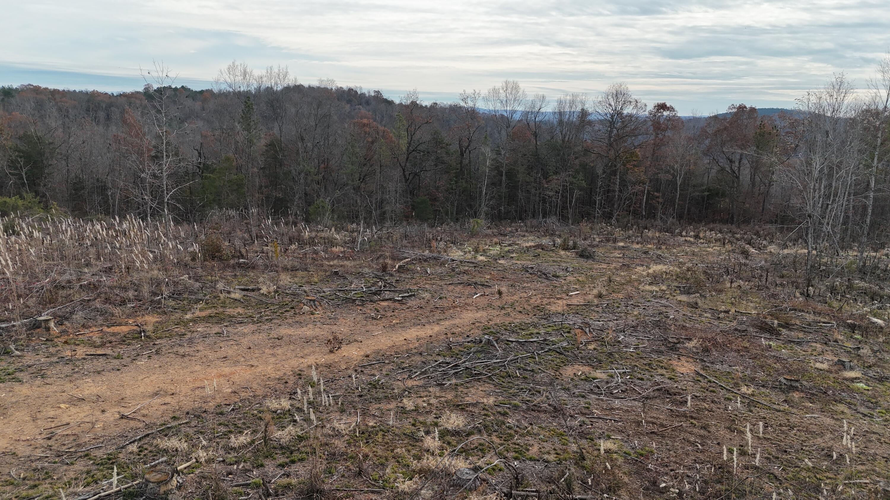 Lot 1 Lamontville Road Decatur, TN 37322 - Photo 10 of 47 dji_fly_20241208_131038_0181_17337676146