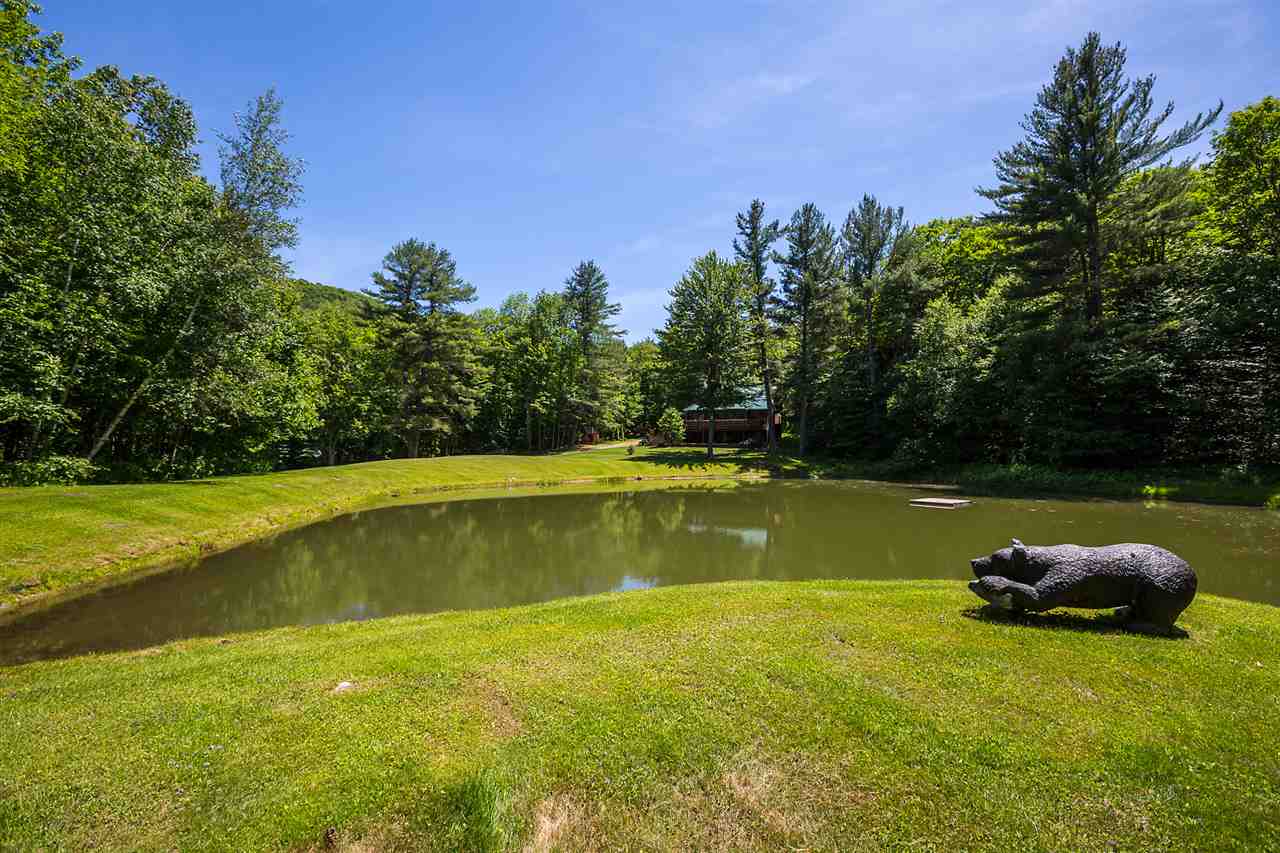 3703 Popple Dungeon Road Chester, VT 05143 - Photo 3 of 40