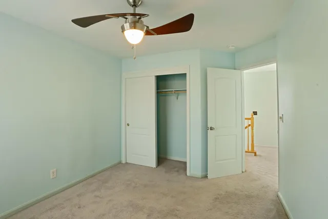 a view of a garden with a brick wall