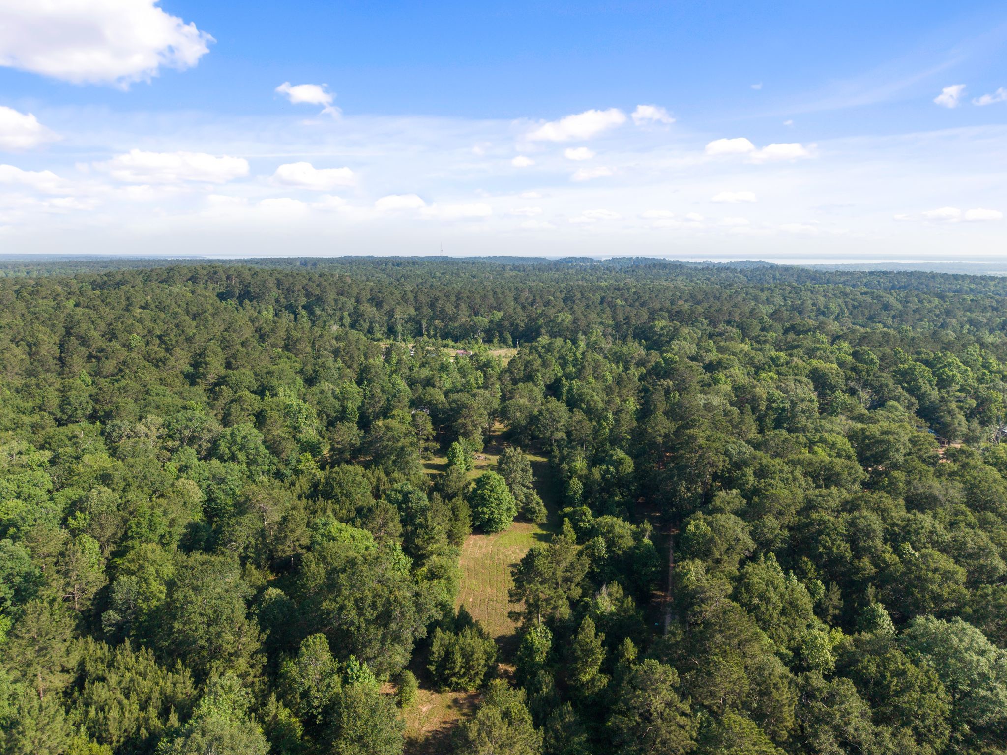 200 Spring Ridge Road Coldspring, TX 77331 - Photo 12 of 18 a view of a city with lush green forest