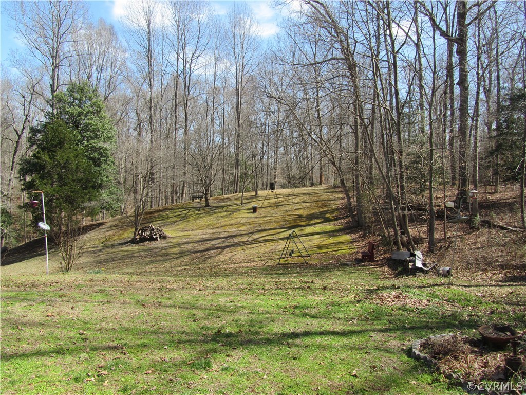 11432 Hanover Courthouse Road Hanover, VA 23069 - Photo 2 of 22 a backyard of a house with lots of green space