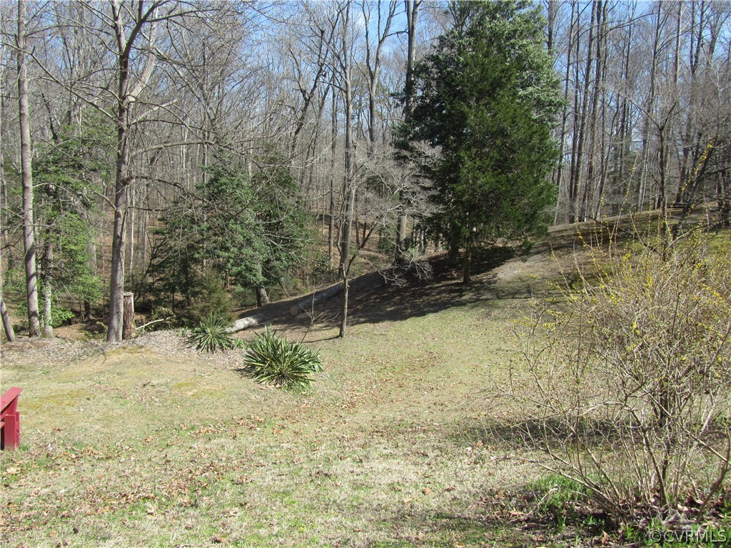 11432 Hanover Courthouse Road Hanover, VA 23069 - Photo 5 of 22 a backyard of a house with lots of green space