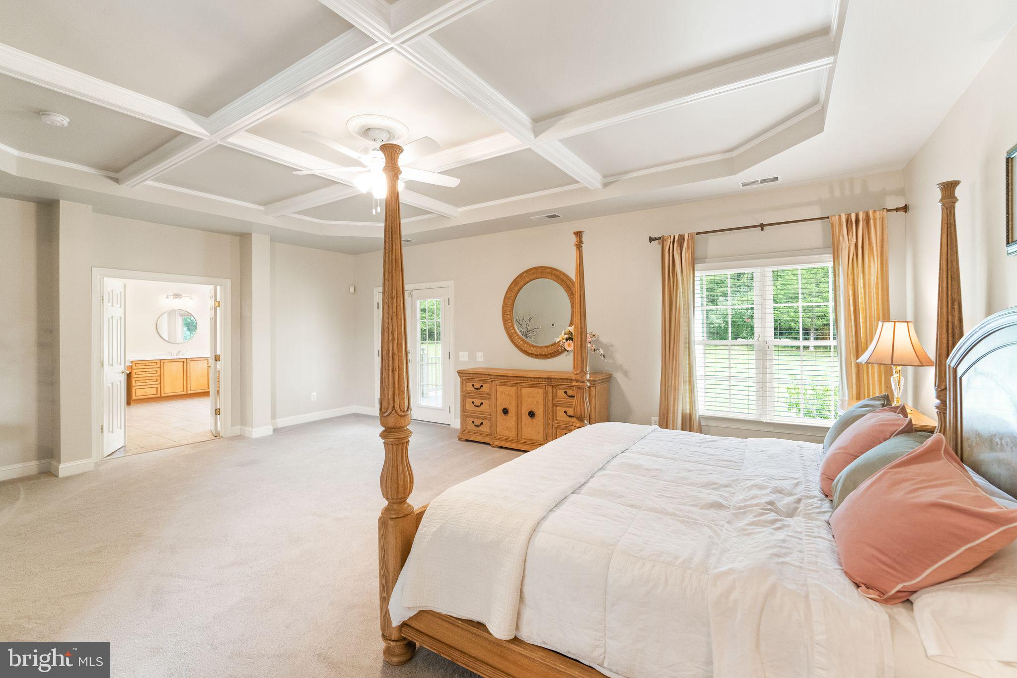 27712 Paddock Trail Place Chantilly, VA 20152 - Photo 47 of 106 Primary bedroom with coffered ceiliings