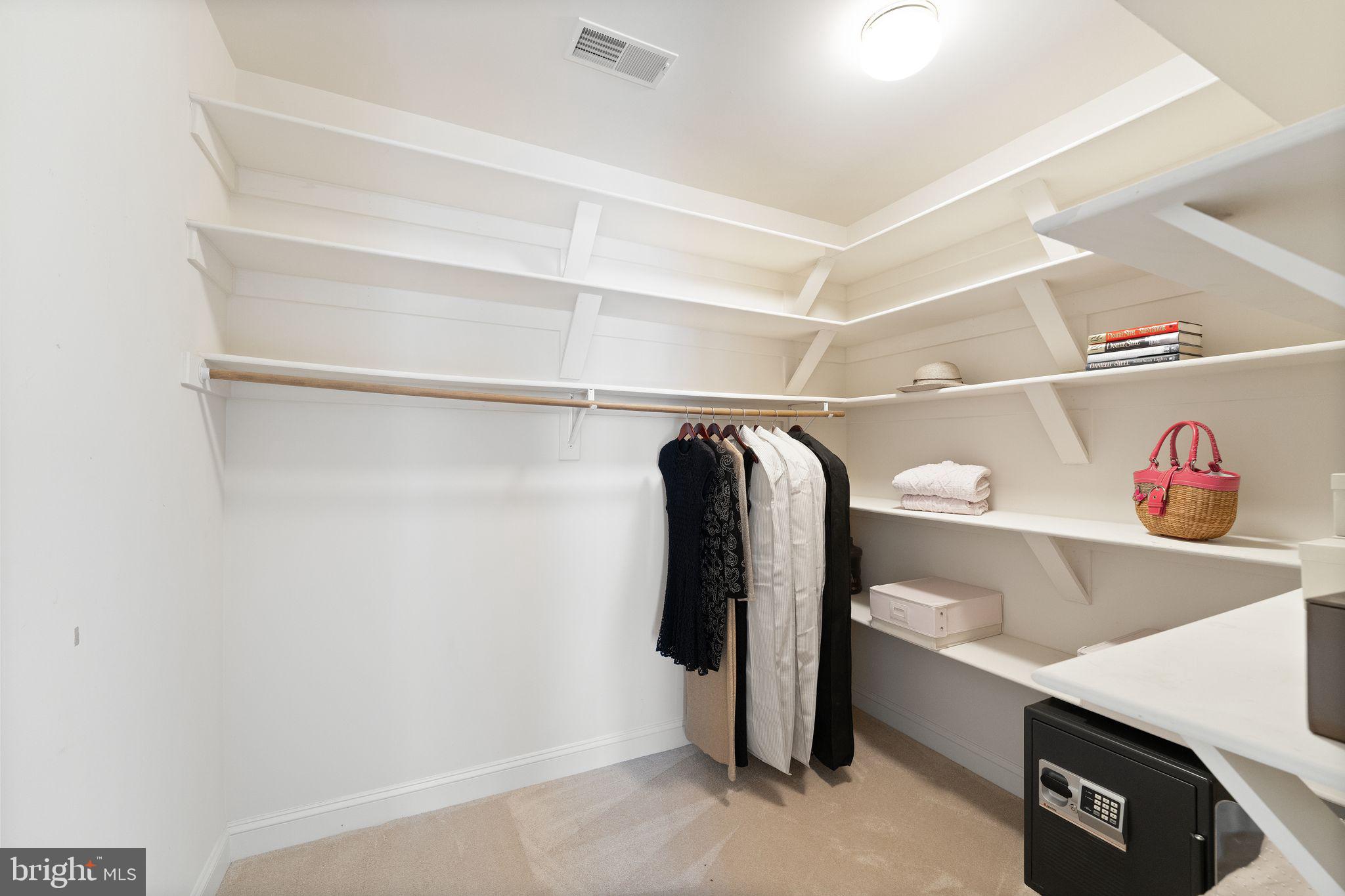 27712 Paddock Trail Place Chantilly, VA 20152 - Photo 53 of 106 Pirmary Bedroom Closet #1