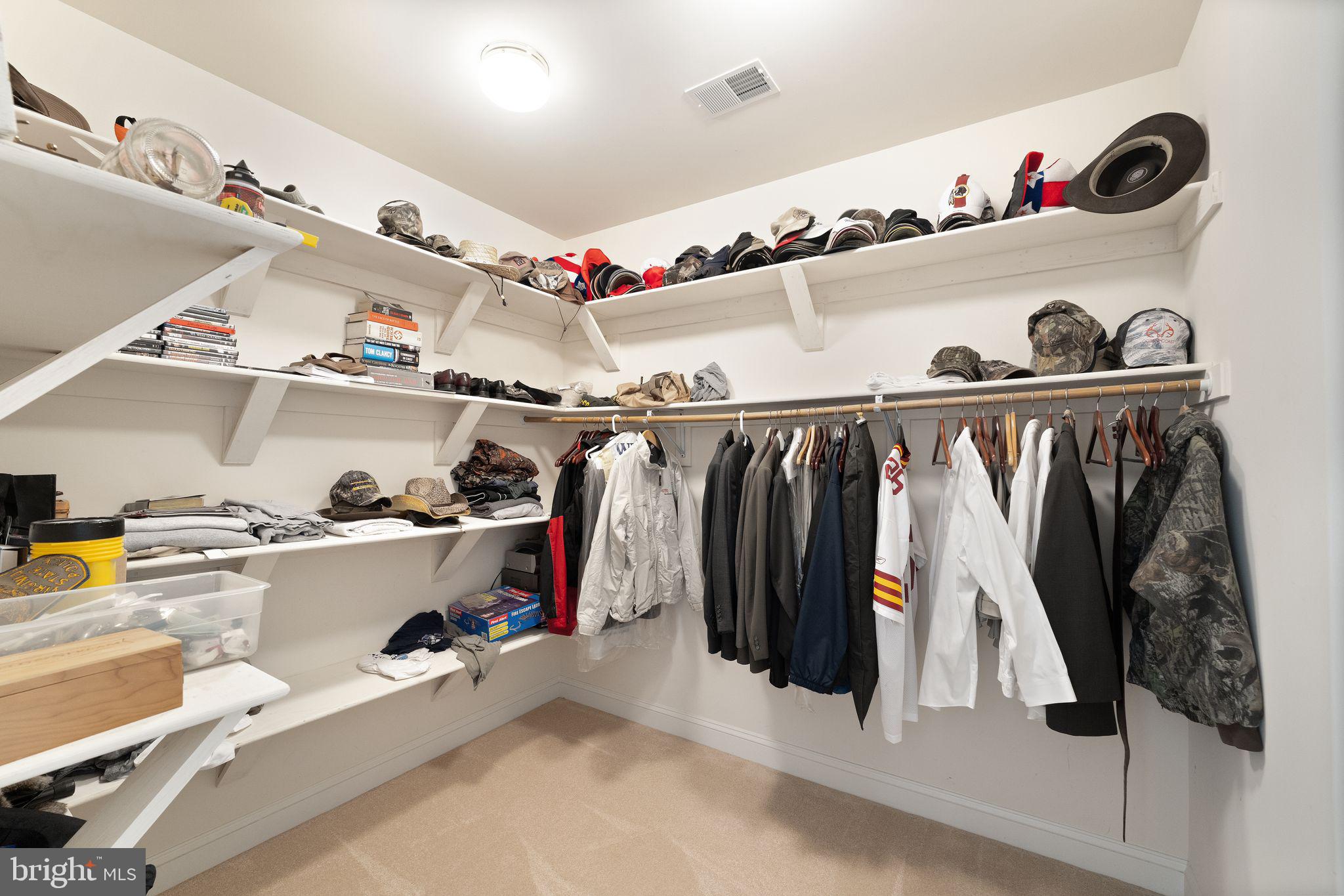 27712 Paddock Trail Place Chantilly, VA 20152 - Photo 54 of 106 Primary Bedroom Closet #2