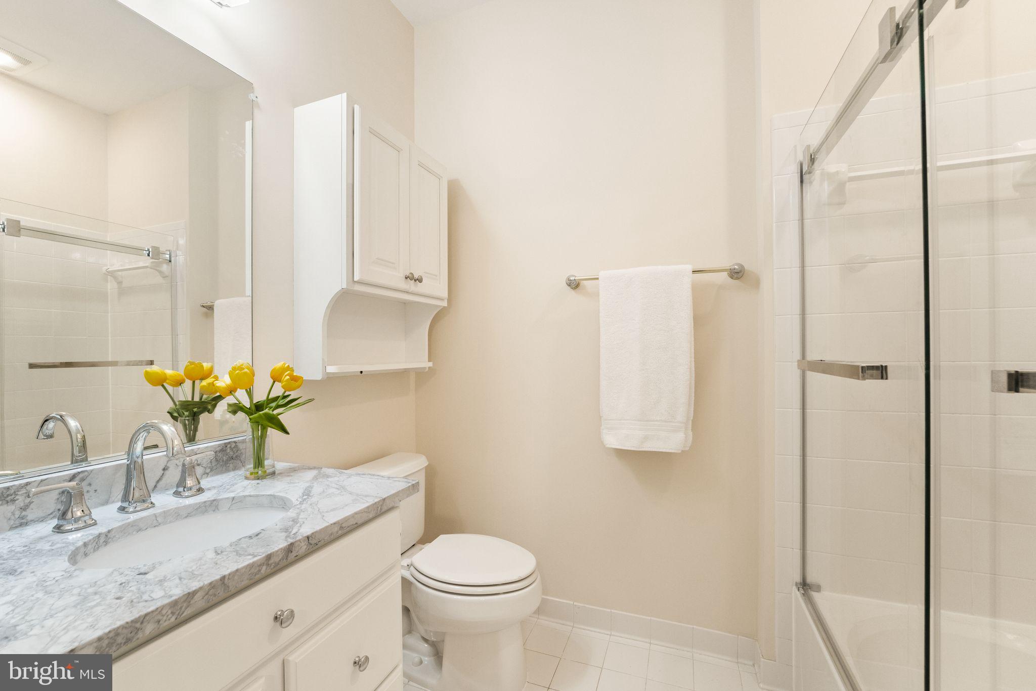 27712 Paddock Trail Place Chantilly, VA 20152 - Photo 58 of 106 Bedroom #2 ensuite bathroom