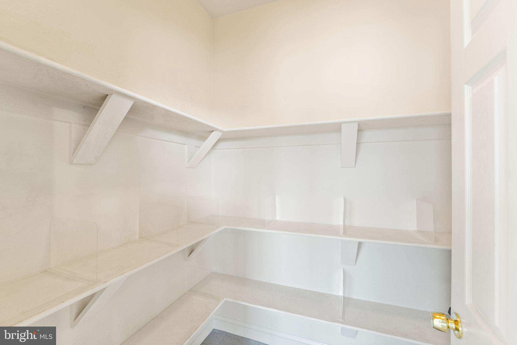 27712 Paddock Trail Place Chantilly, VA 20152 - Photo 64 of 106 Bedroom #3 walk in closet