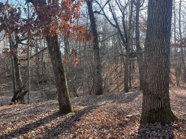 $525,000 | 25055 Llama Street Northwest, Zimmerman, MN 55398