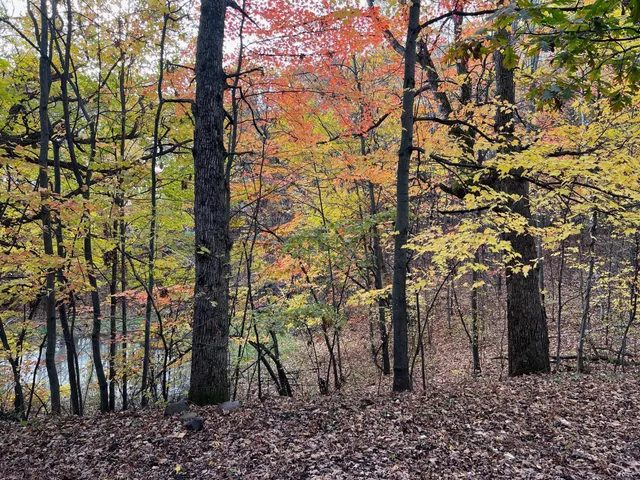 $525,000 | 25055 Llama Street Northwest, Zimmerman, MN 55398