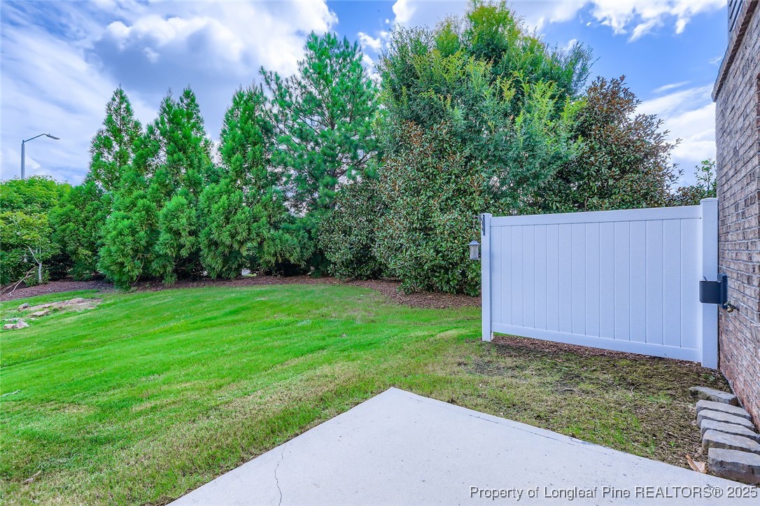 408 Panorama View Loop Cary, NC 27519 - Photo 27 of 28 a view of a backyard