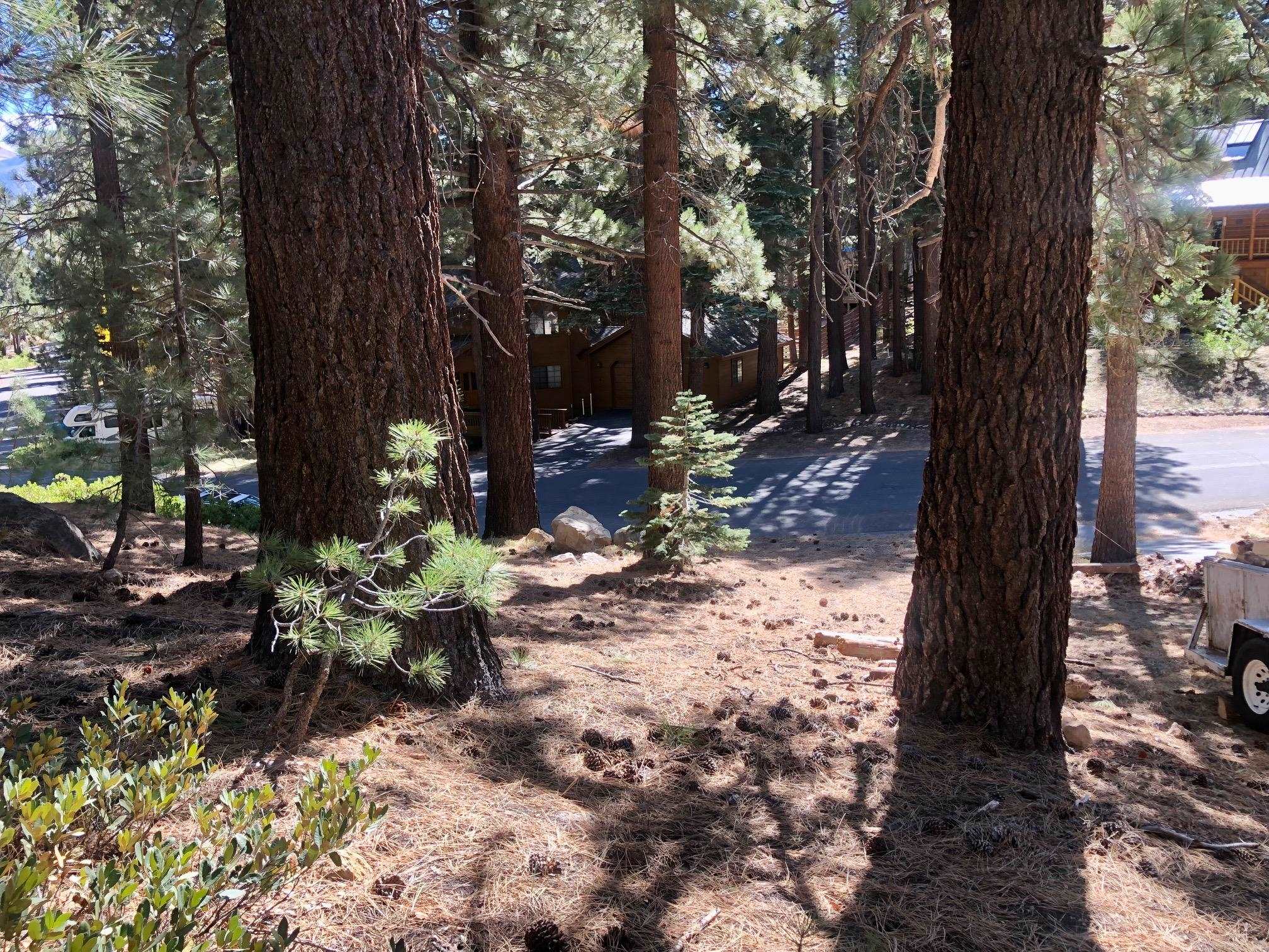 198 Grindelwald Road Mammoth Lakes, CA 93546 - Photo 8 of 12 Gallery Image 8