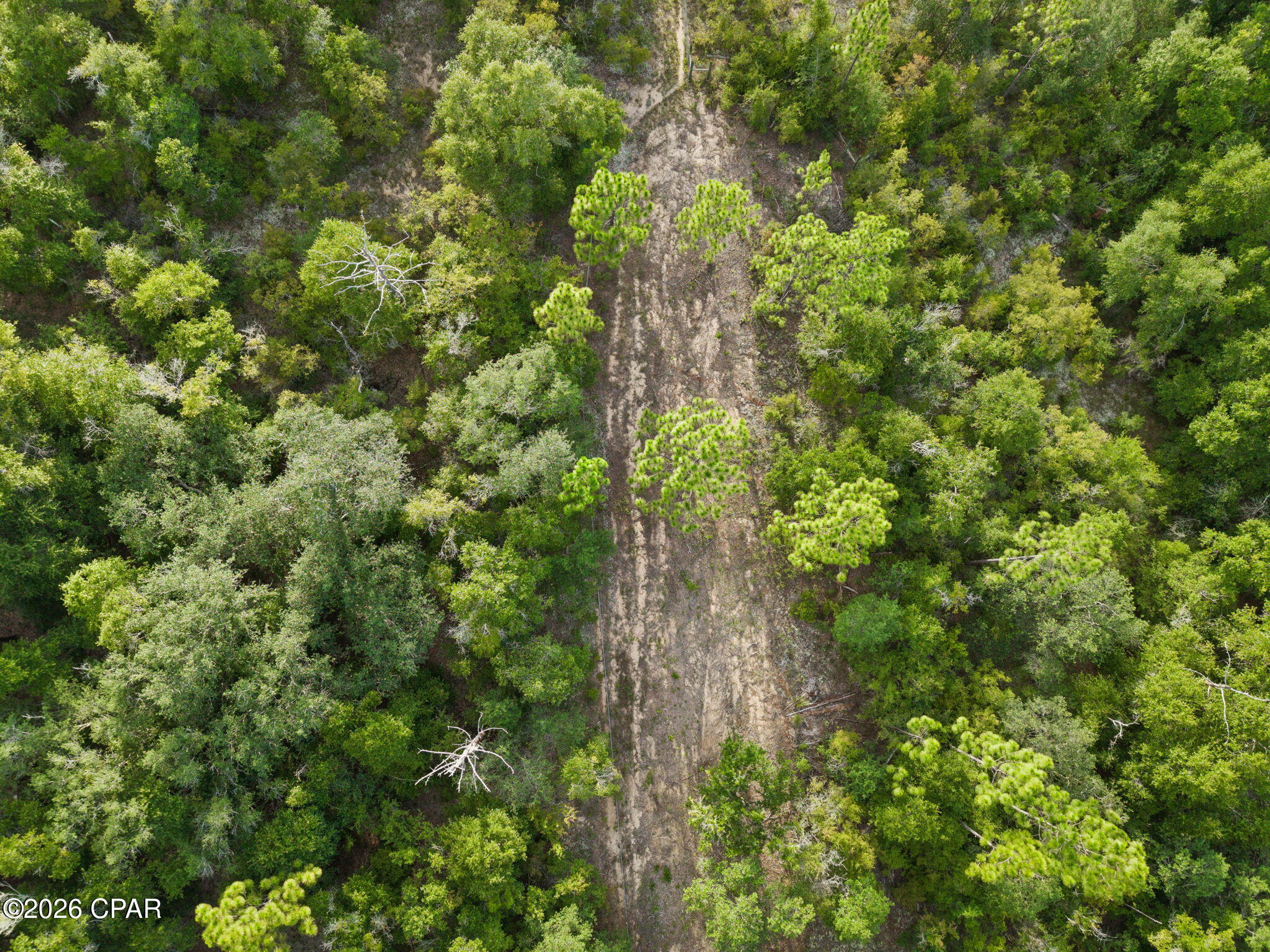 0 Rio Vista Road Chipley, FL 32428 - Photo 16 of 24 Gallery Image 16