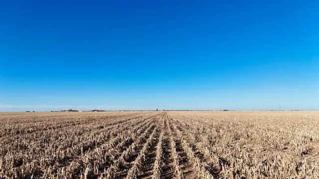 $4,890,000 | 207 Texas, Claude, TX 79019