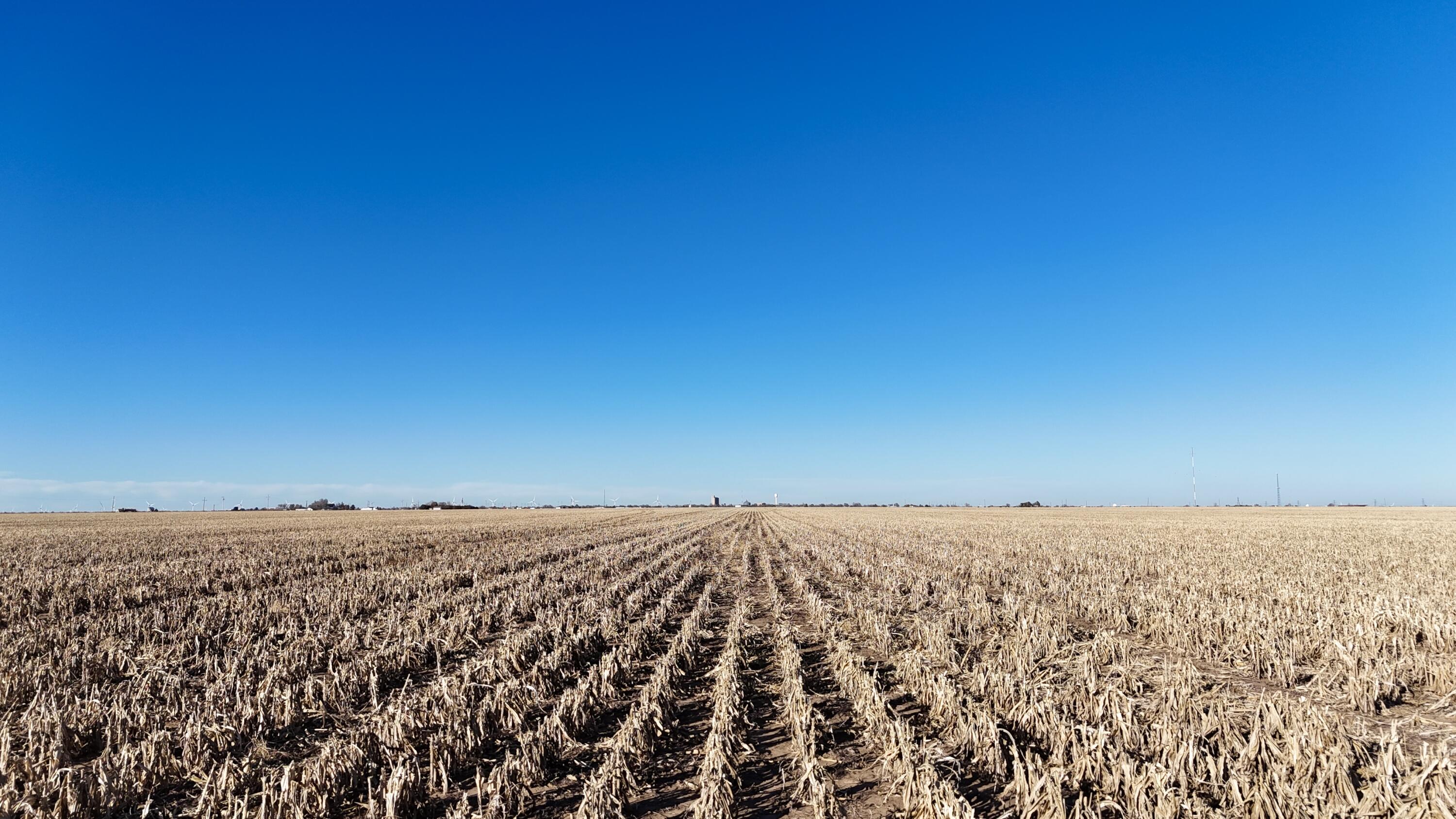 207 Texas Claude, TX 79019 - Photo 13 of 14