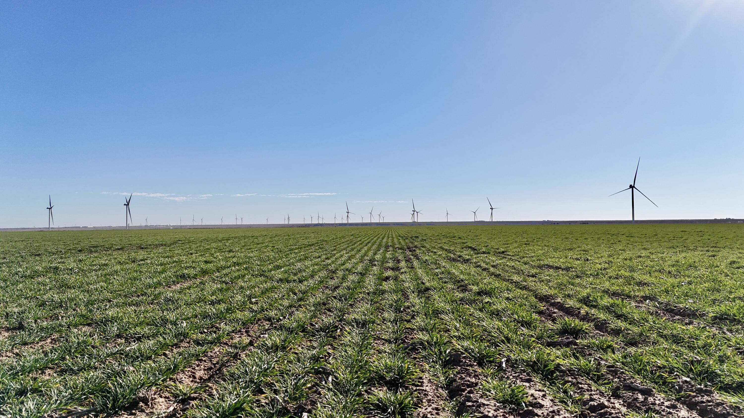 207 Texas Claude, TX 79019 - Photo 6 of 14 a view of a green field with lots of green space