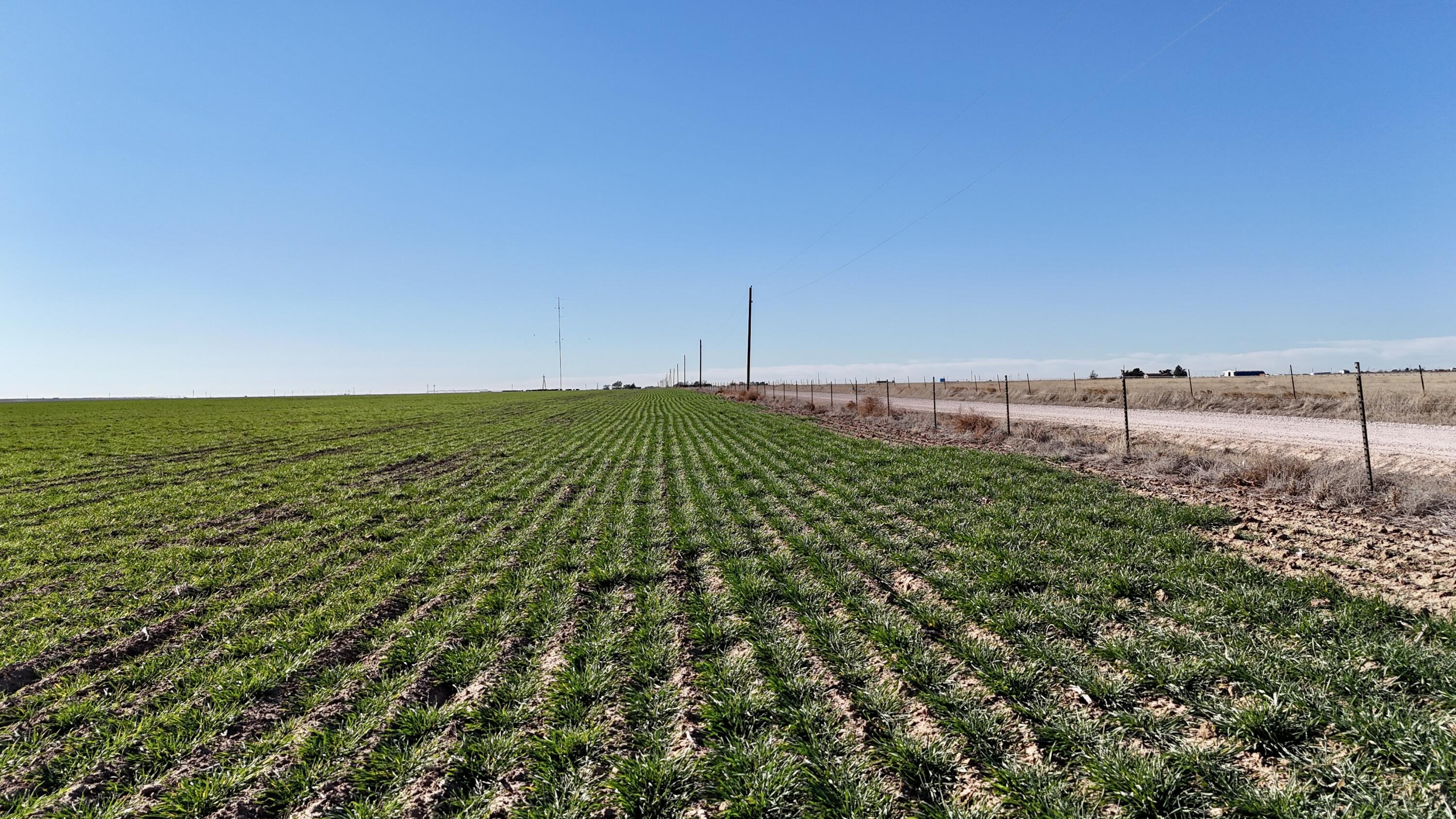 207 Texas Claude, TX 79019 - Photo 9 of 14 a view of a garden