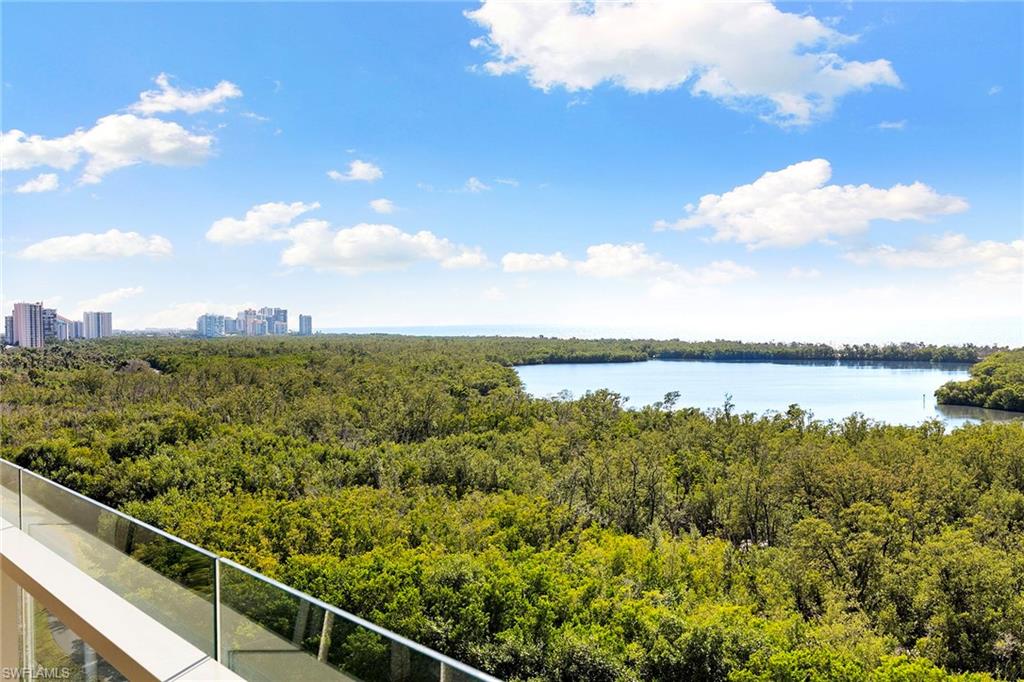 6897 Grenadier Boulevard, Unit 902 Naples, FL 34108 - Photo 42 of 50 a view of a lake from a balcony