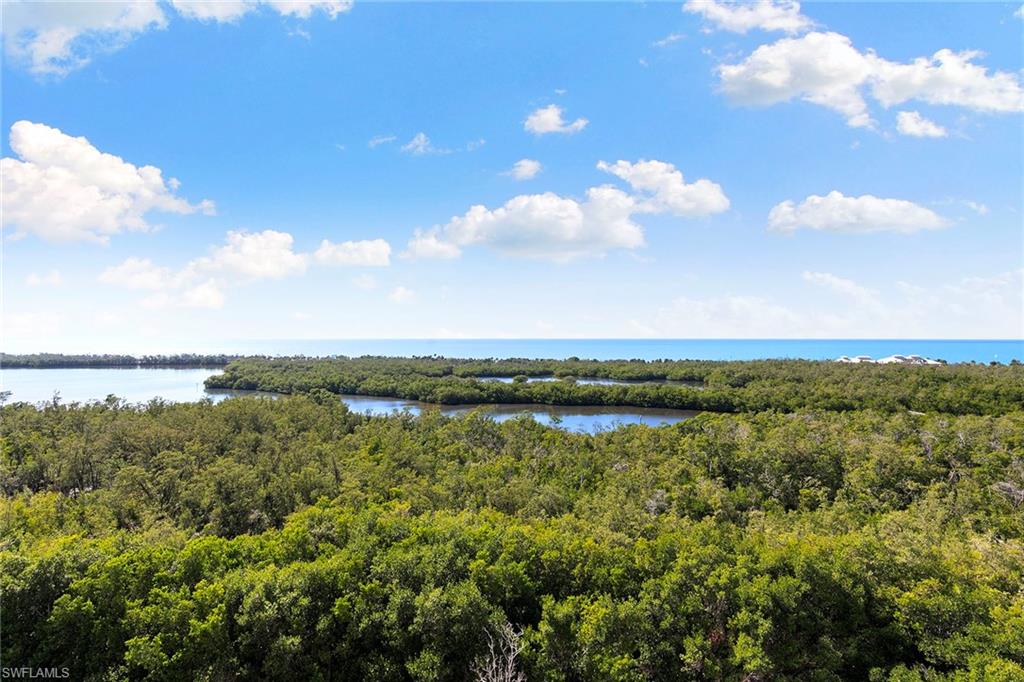 6897 Grenadier Boulevard, Unit 902 Naples, FL 34108 - Photo 43 of 50 a view of a lake and mountain in the back