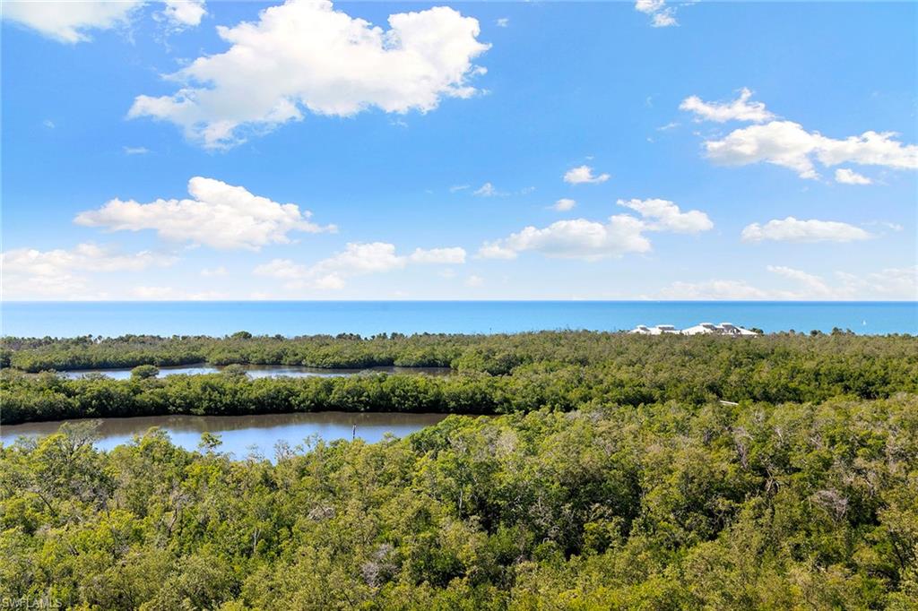 6897 Grenadier Boulevard, Unit 902 Naples, FL 34108 - Photo 44 of 50 a view of lake and city