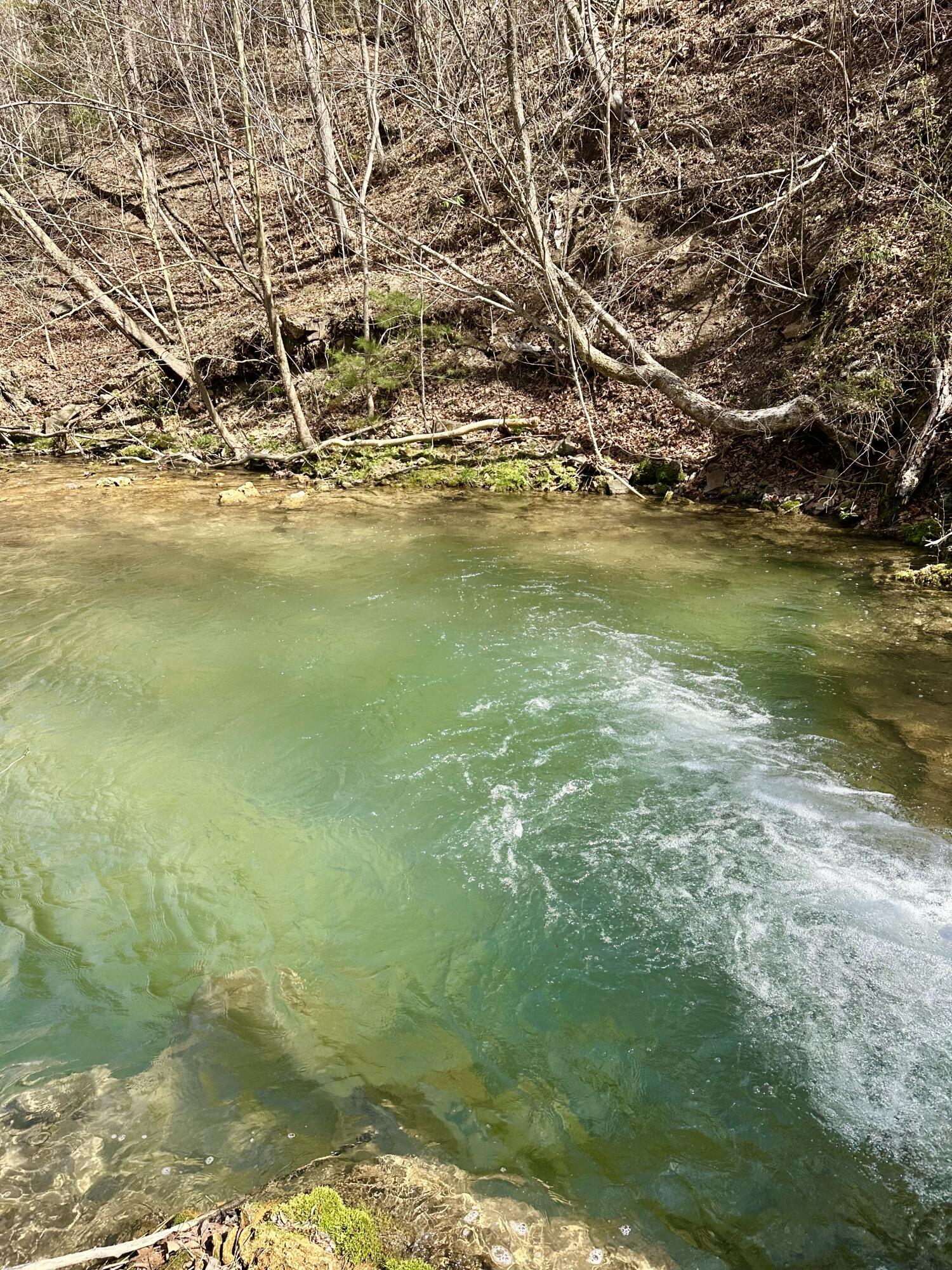 5910 Falls Road Hot Springs, VA 24445 - Photo 2 of 60 IMG_1370